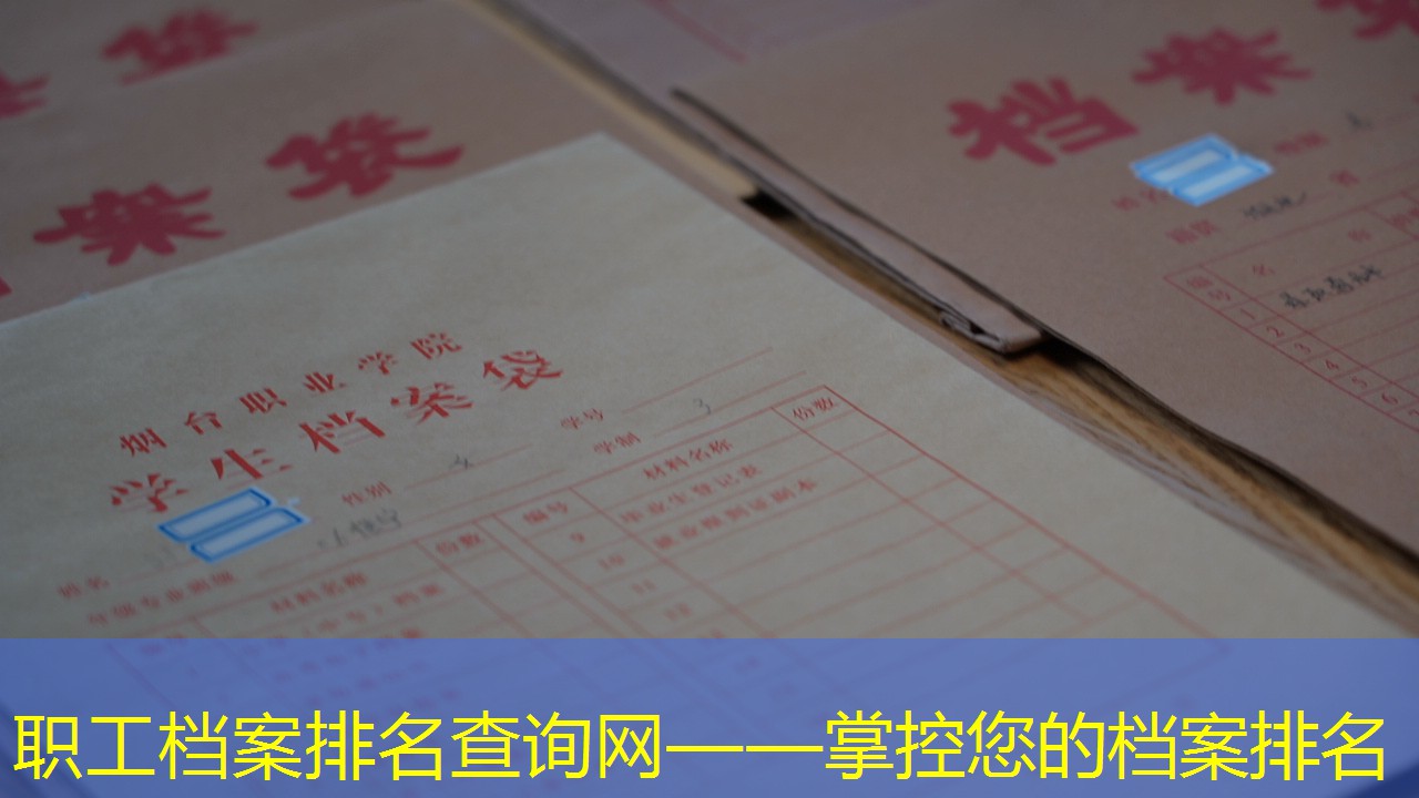 档案查询