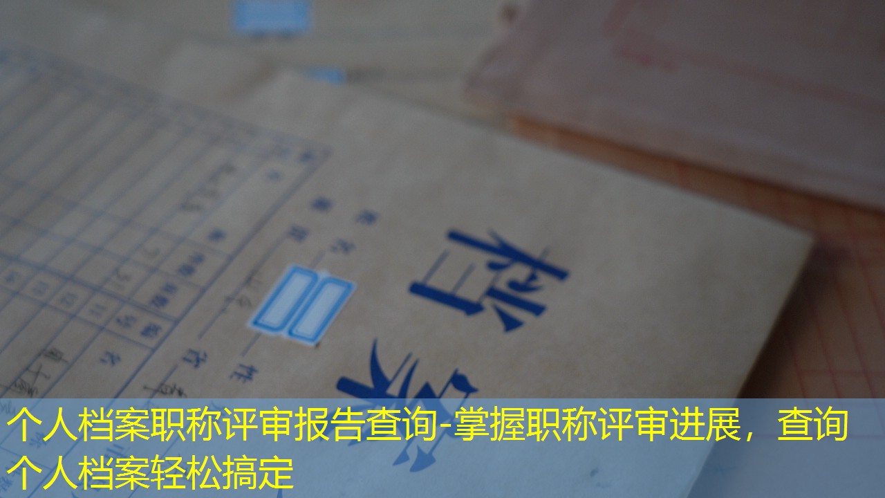 档案查询