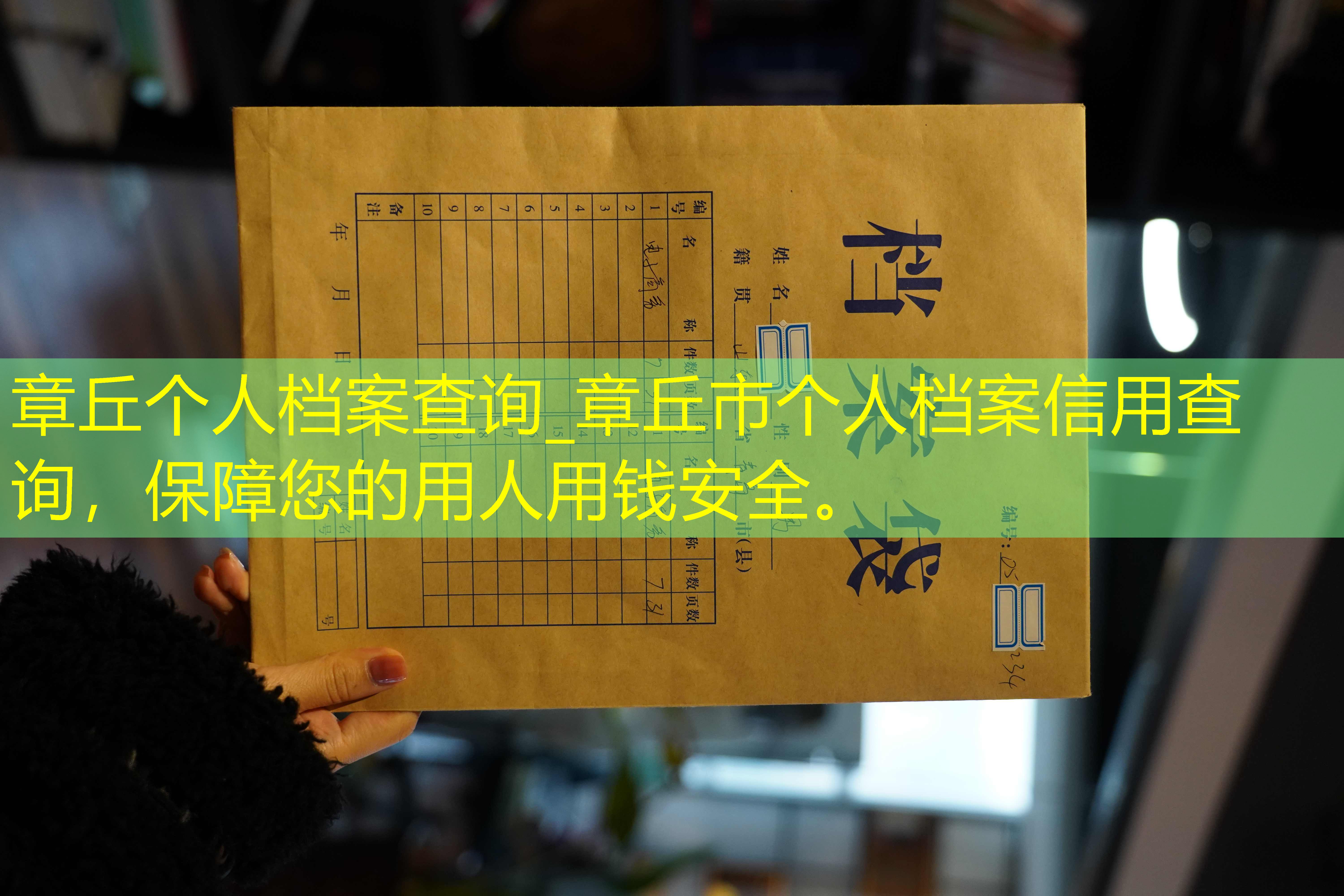 档案查询