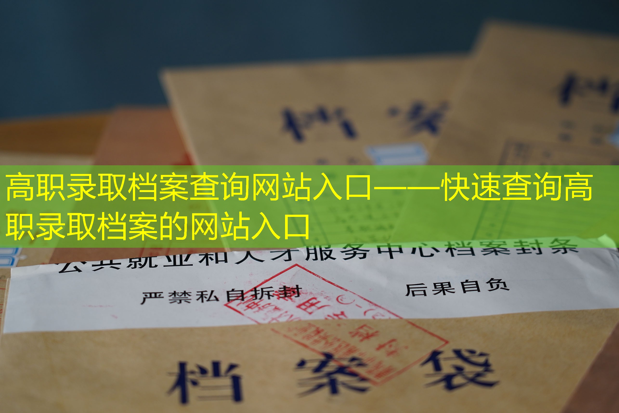 档案查询