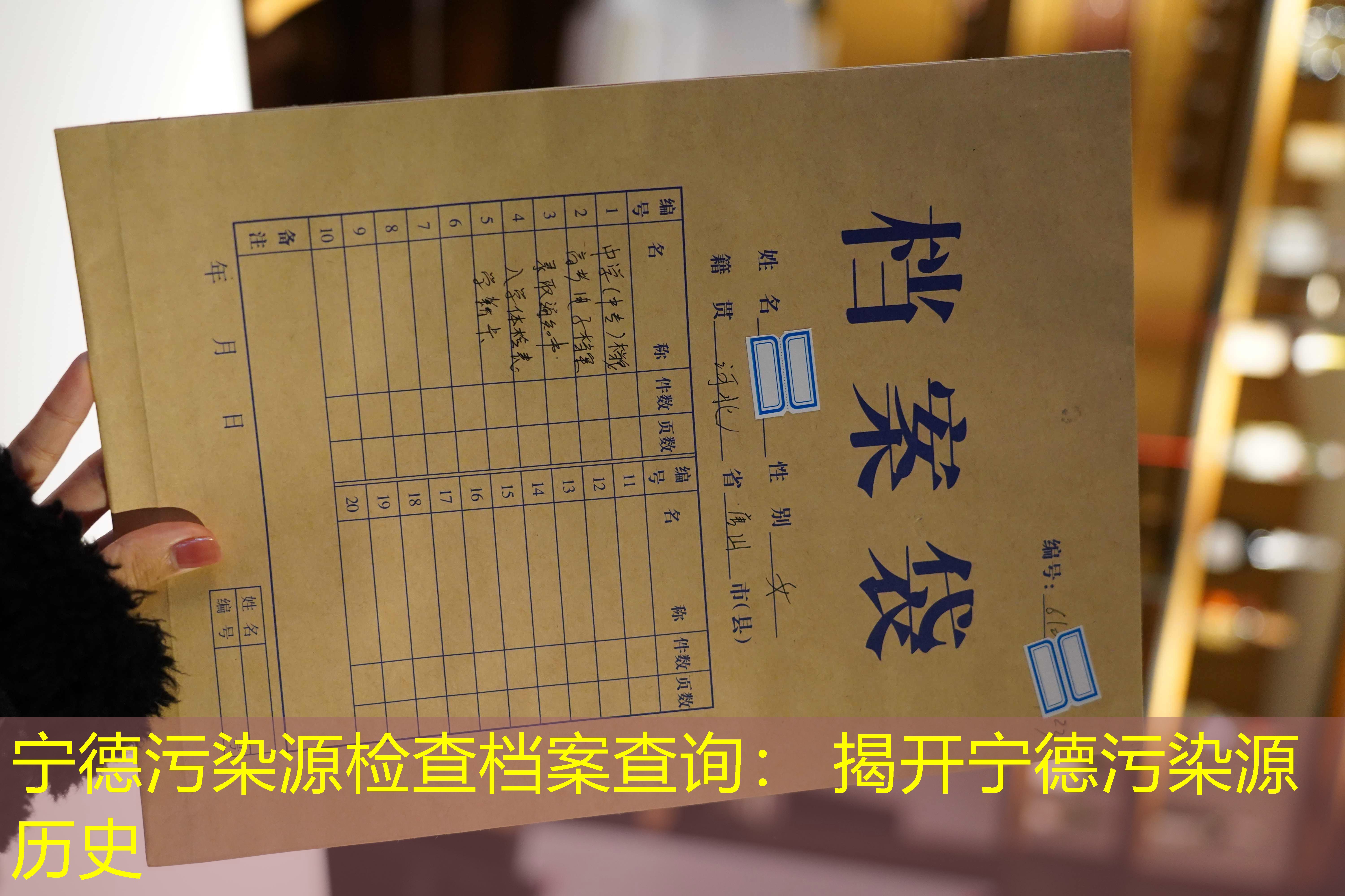 档案查询