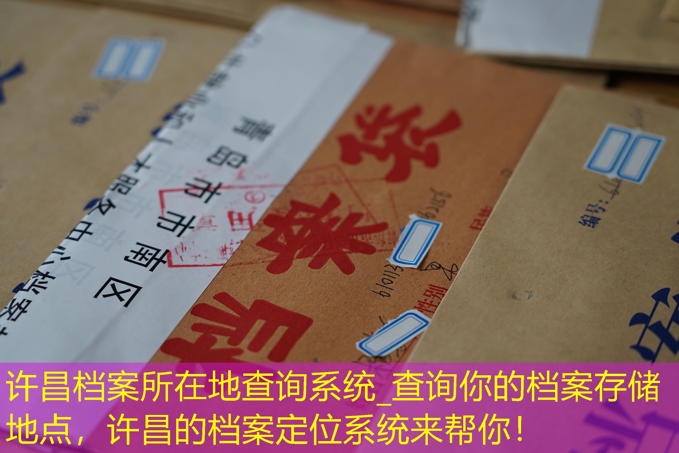 档案查询
