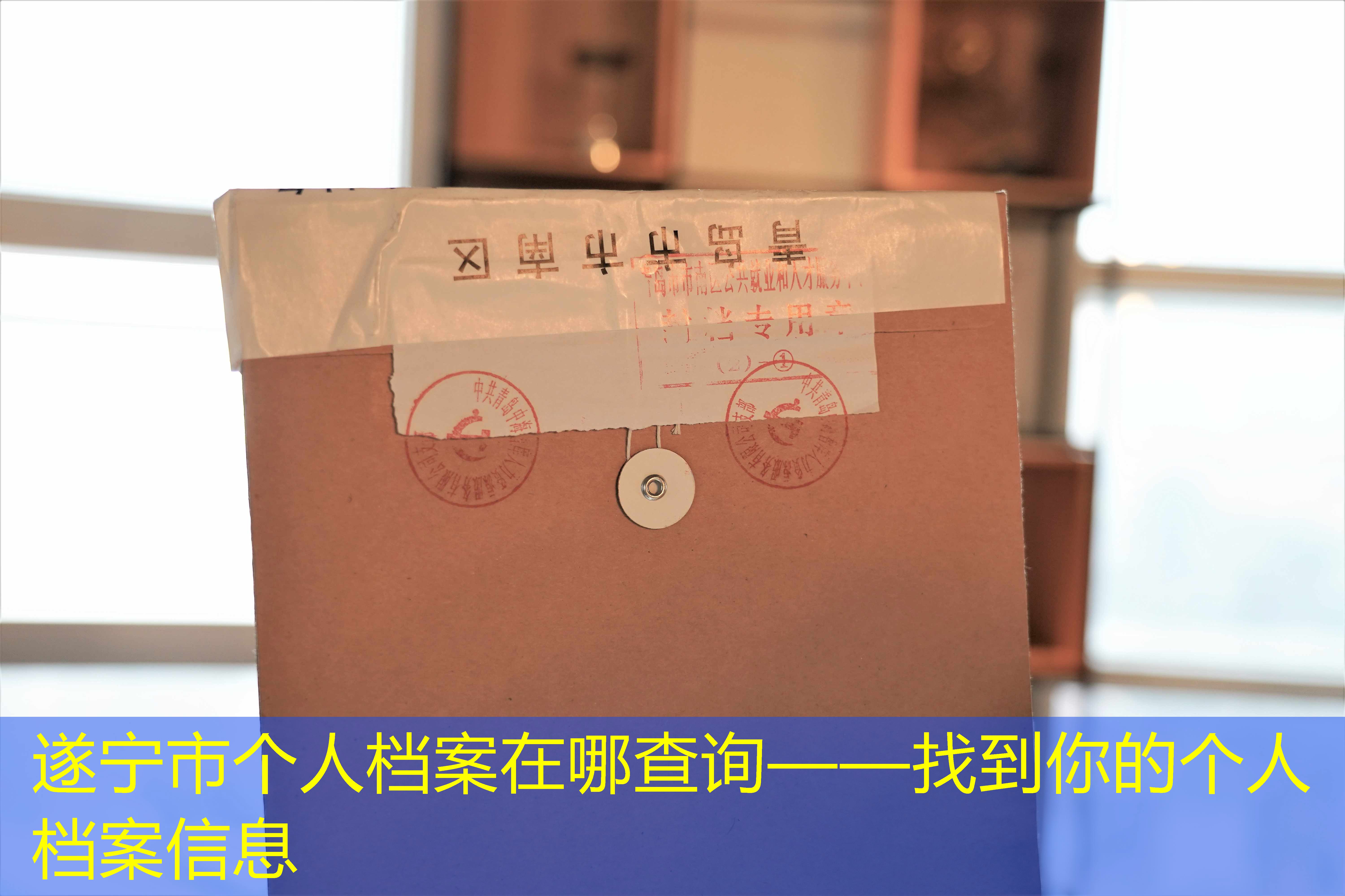 档案查询