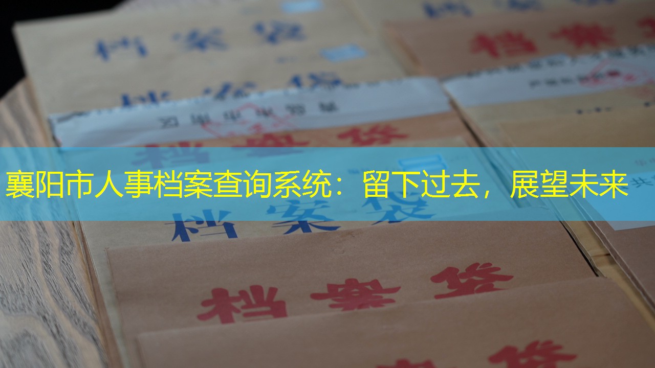 档案查询