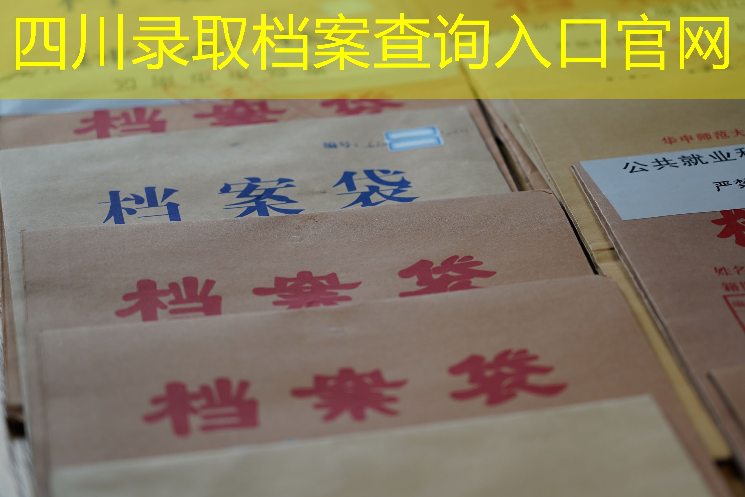 档案查询