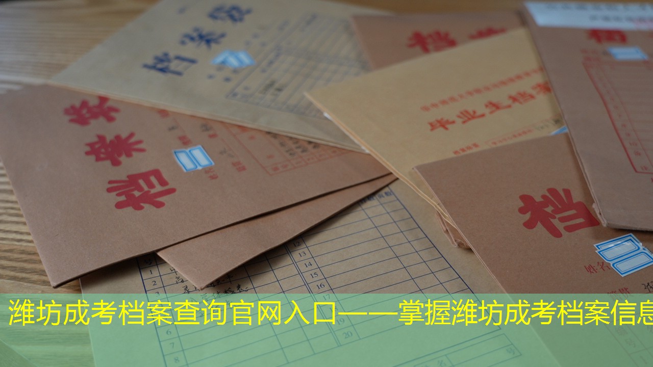 档案查询