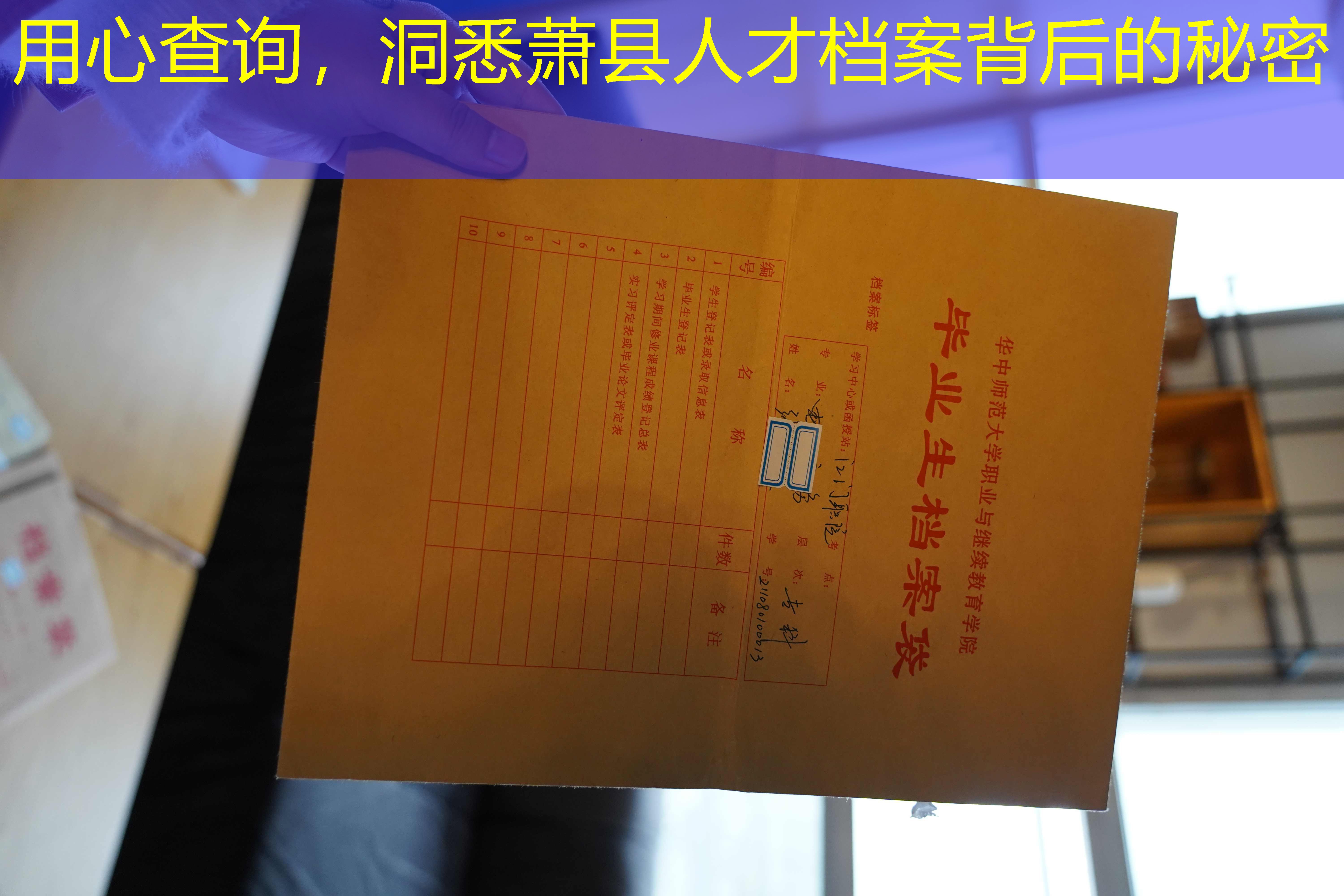 档案查询