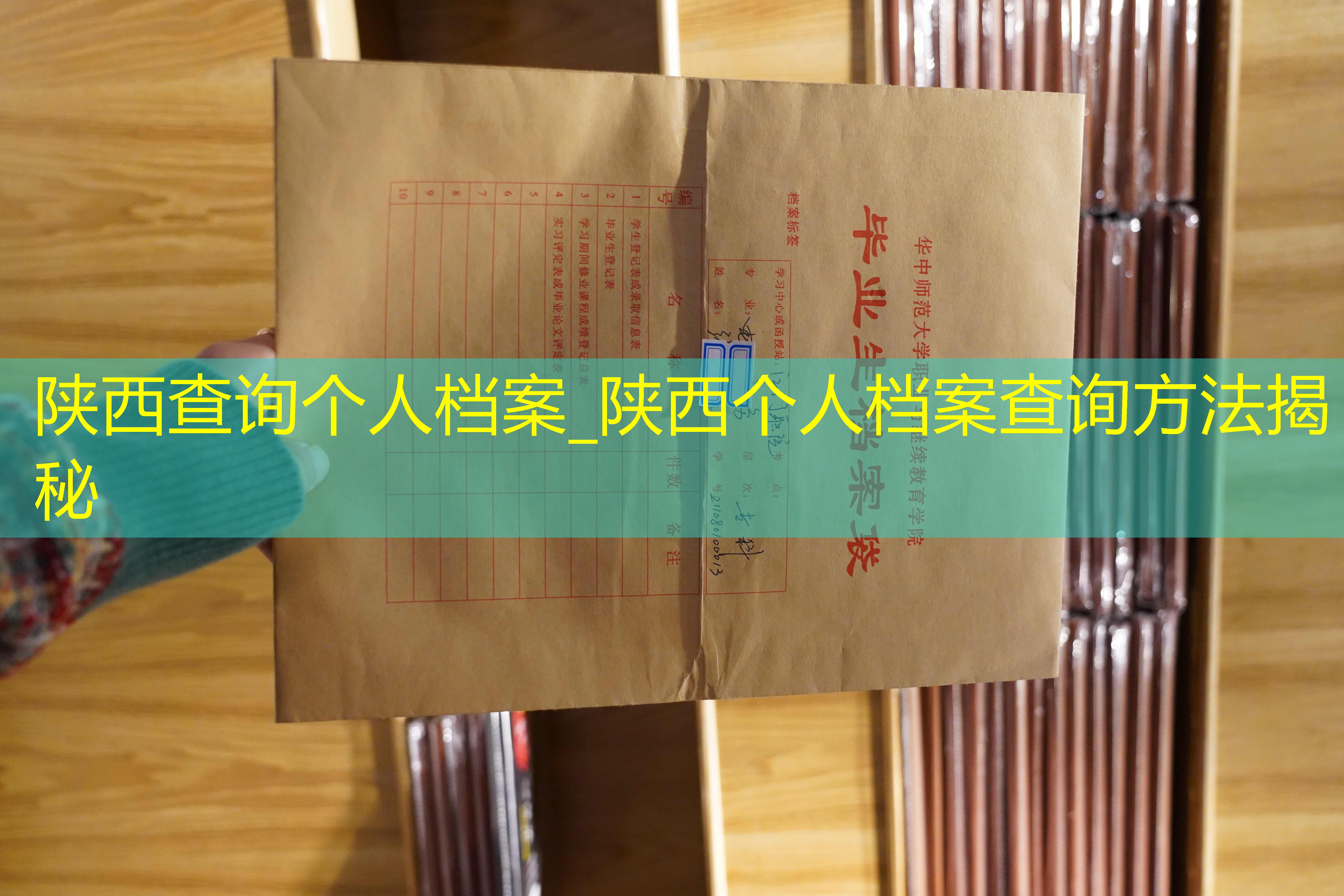 档案查询
