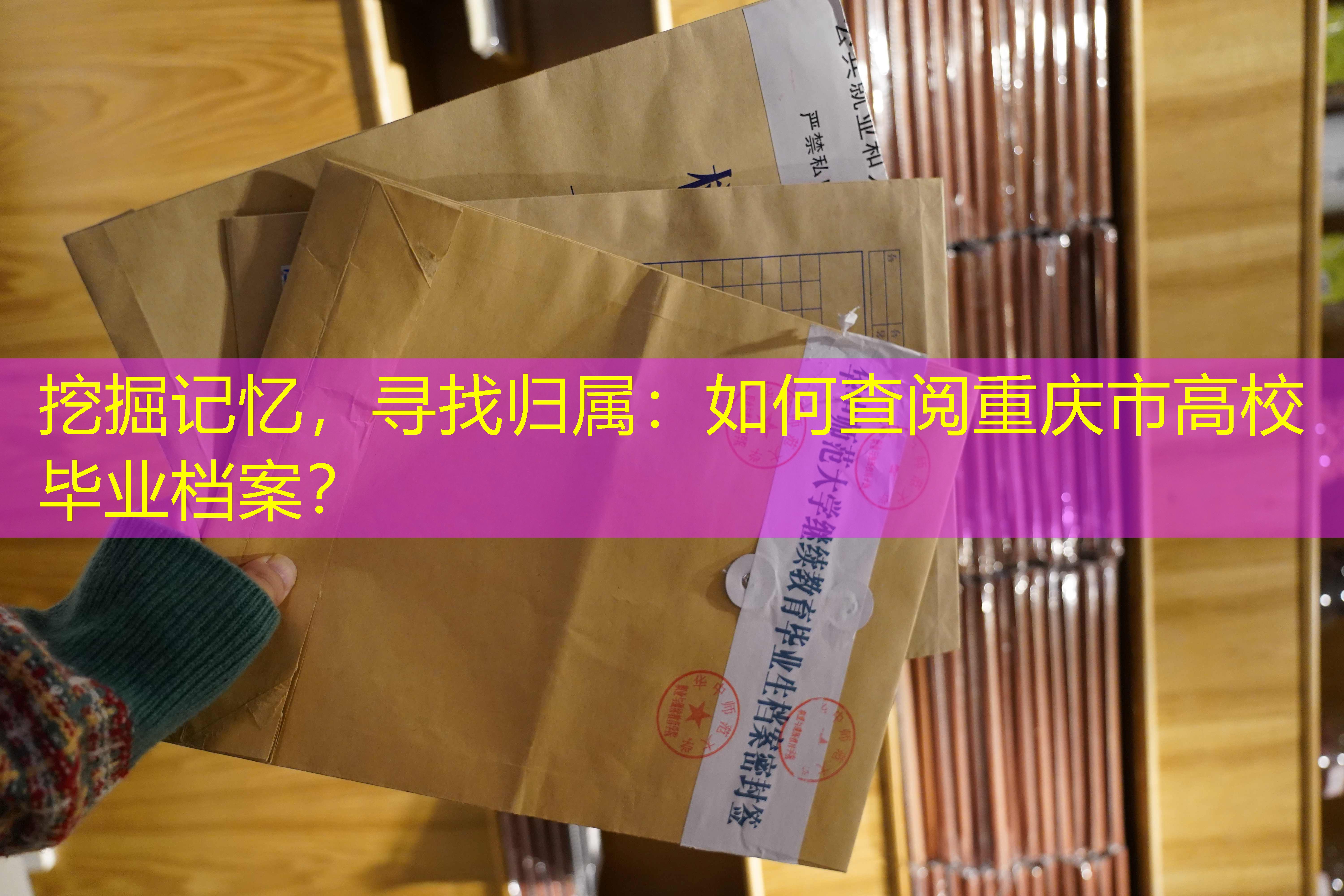 档案查询