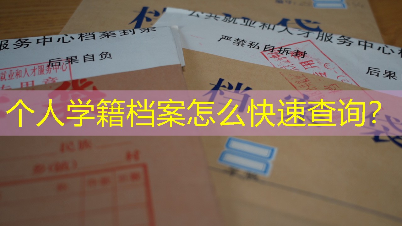 档案查询