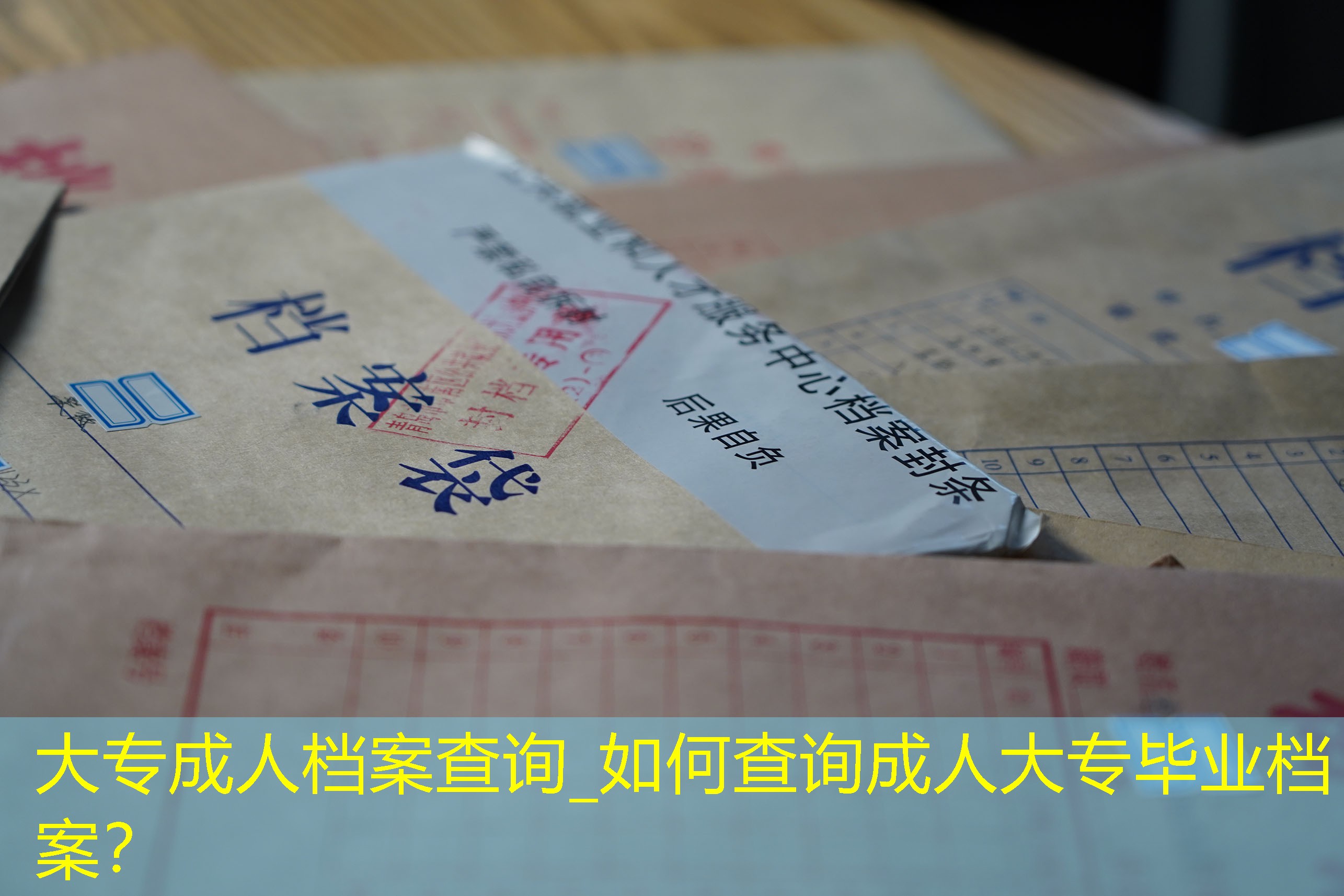 档案查询