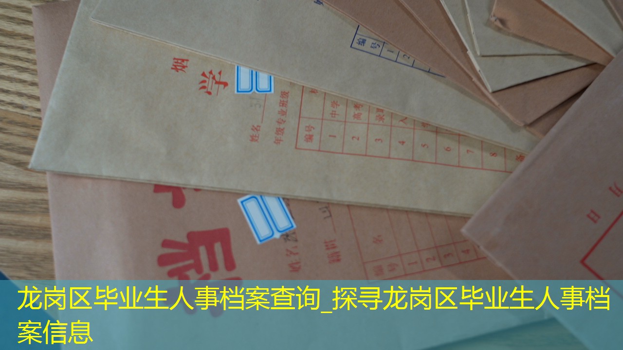 档案查询