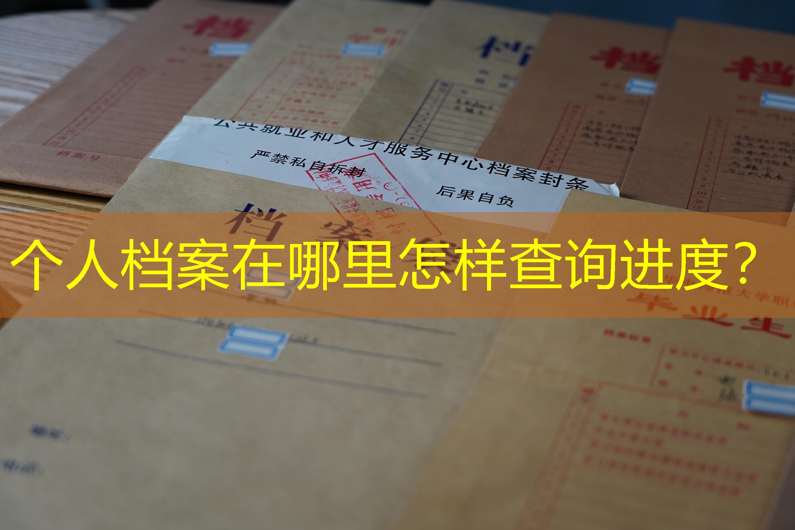 档案查询