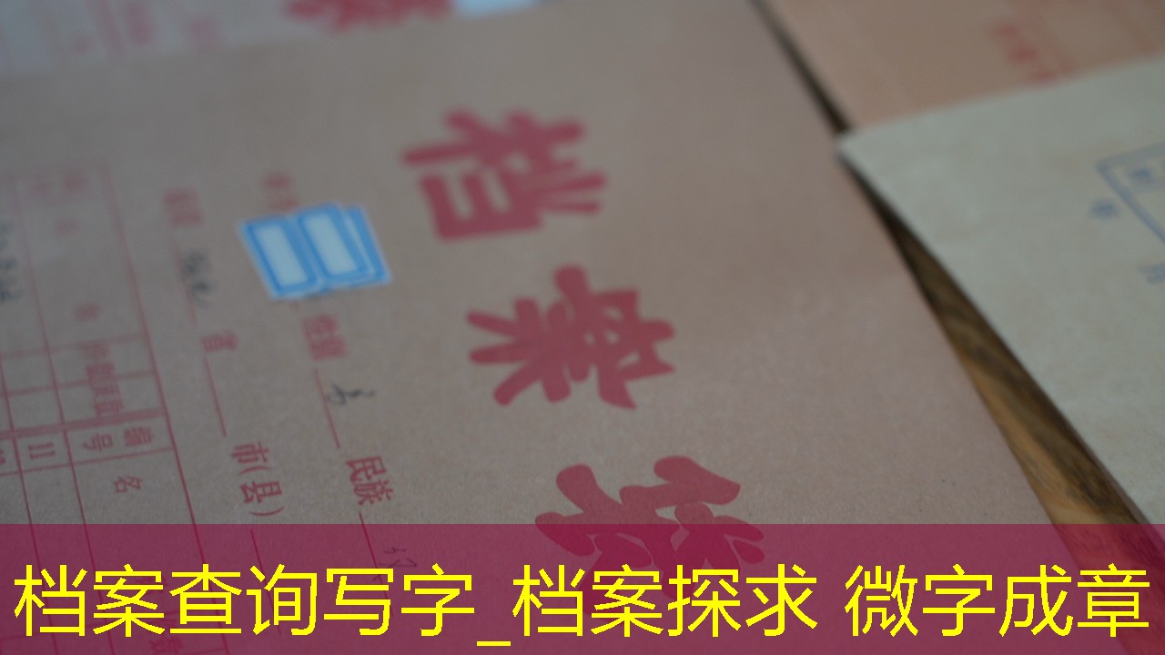 档案查询