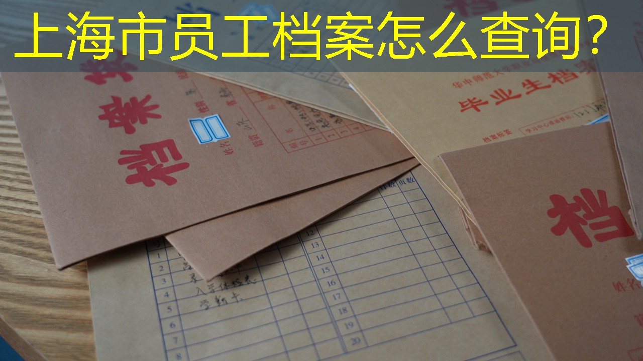 档案查询