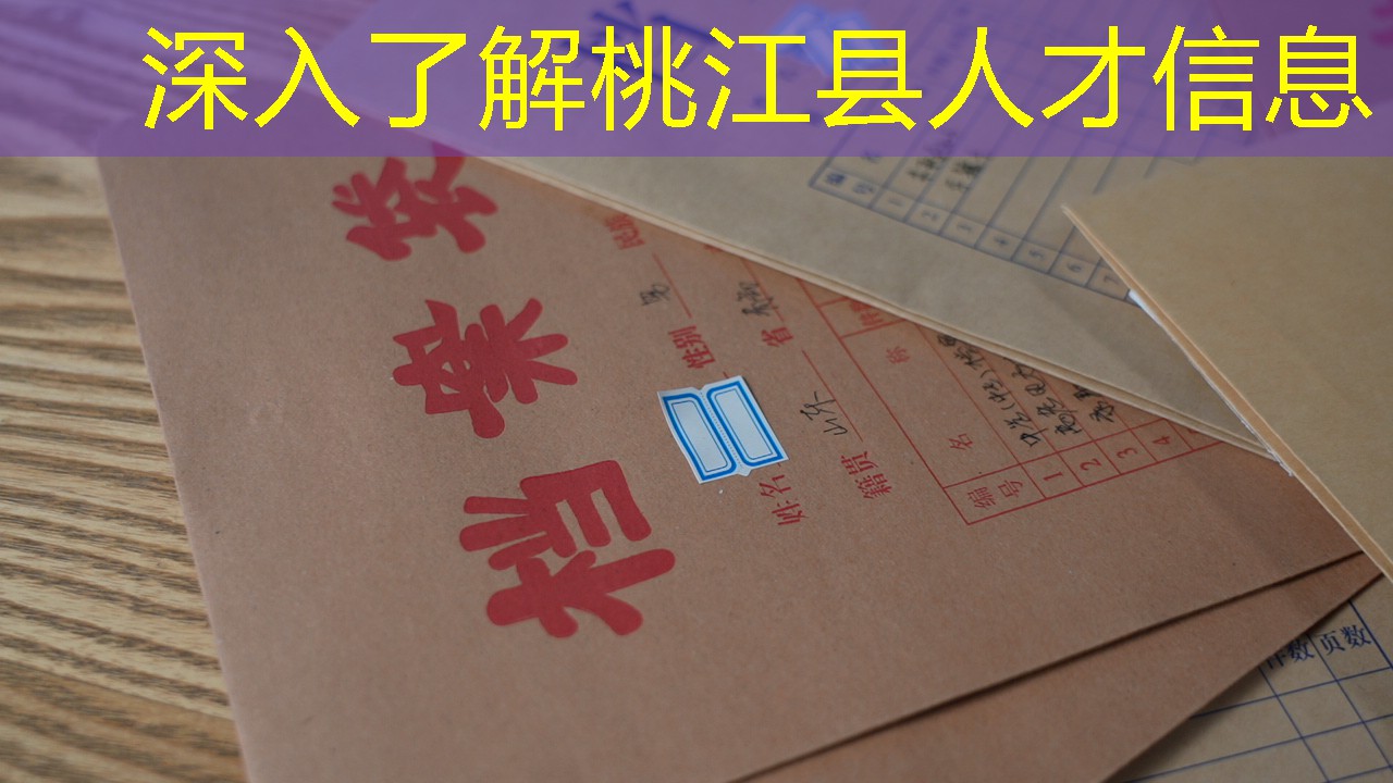 档案查询