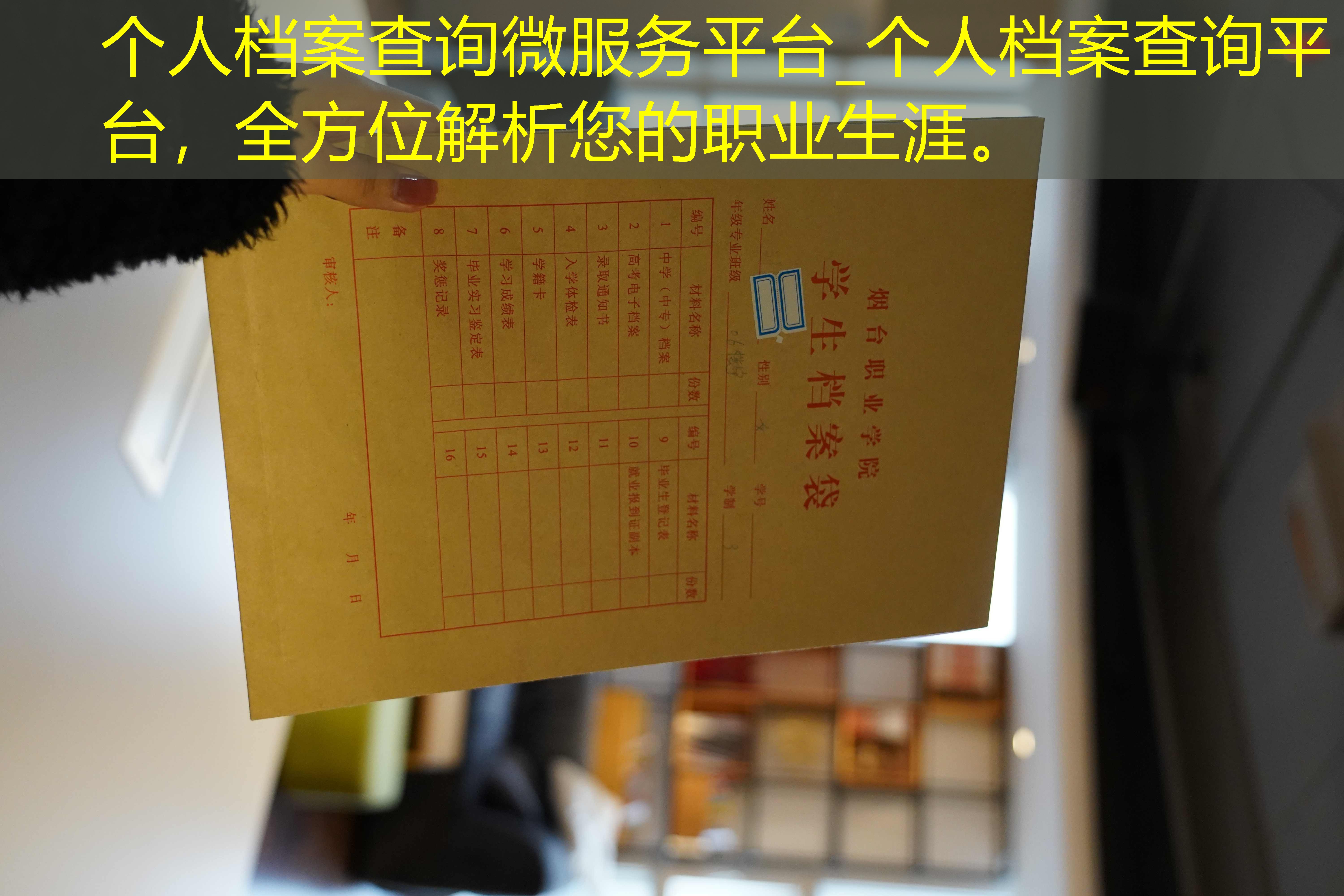 档案查询