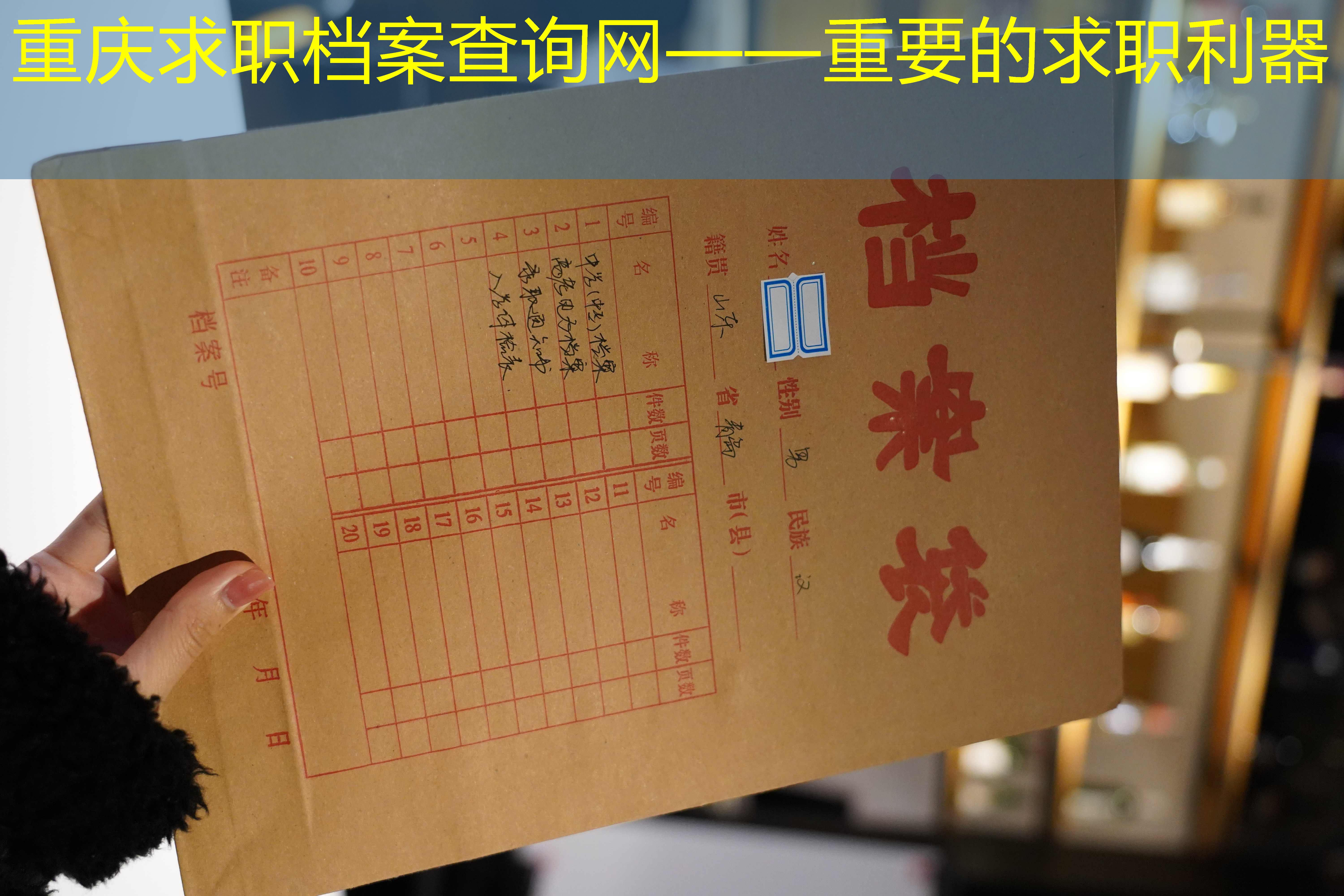 档案查询