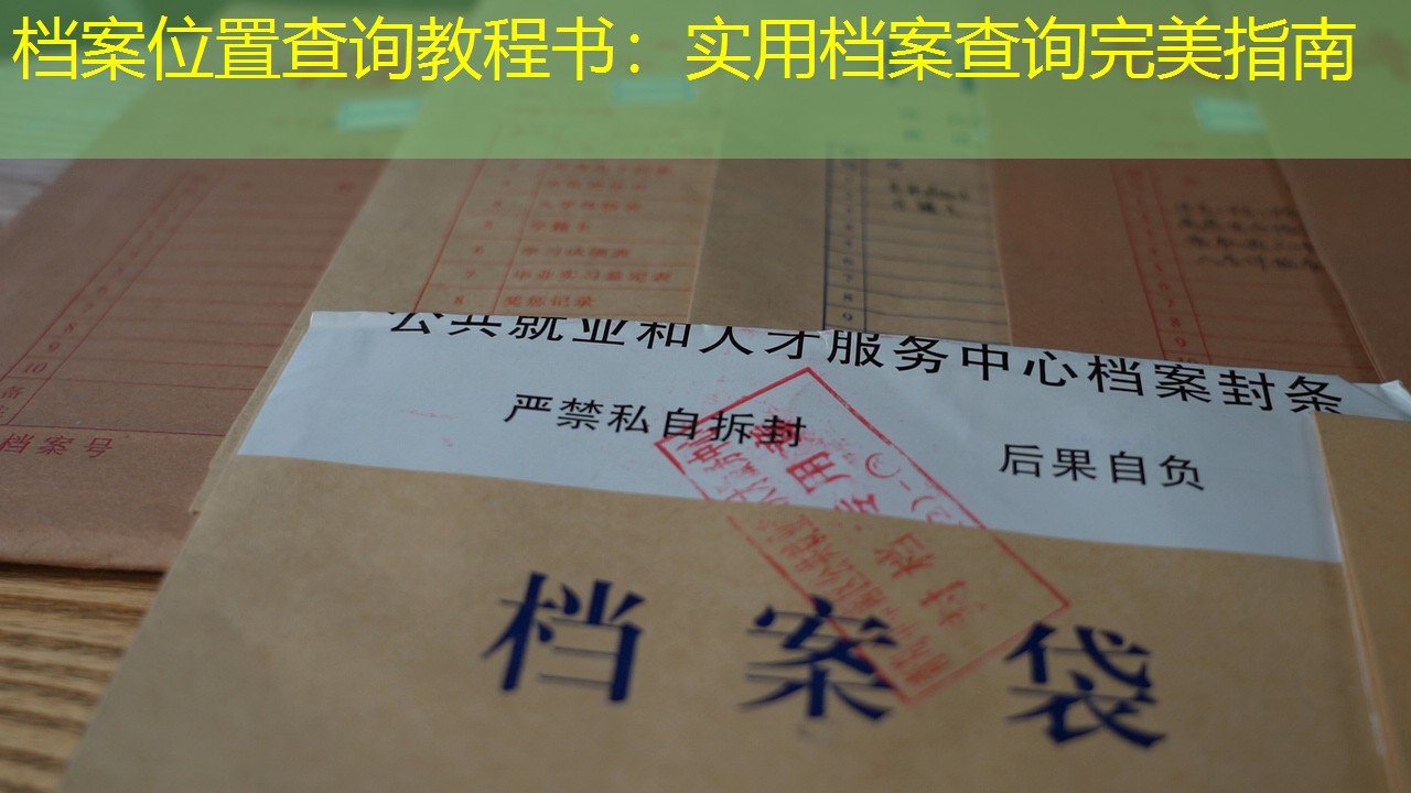 档案查询