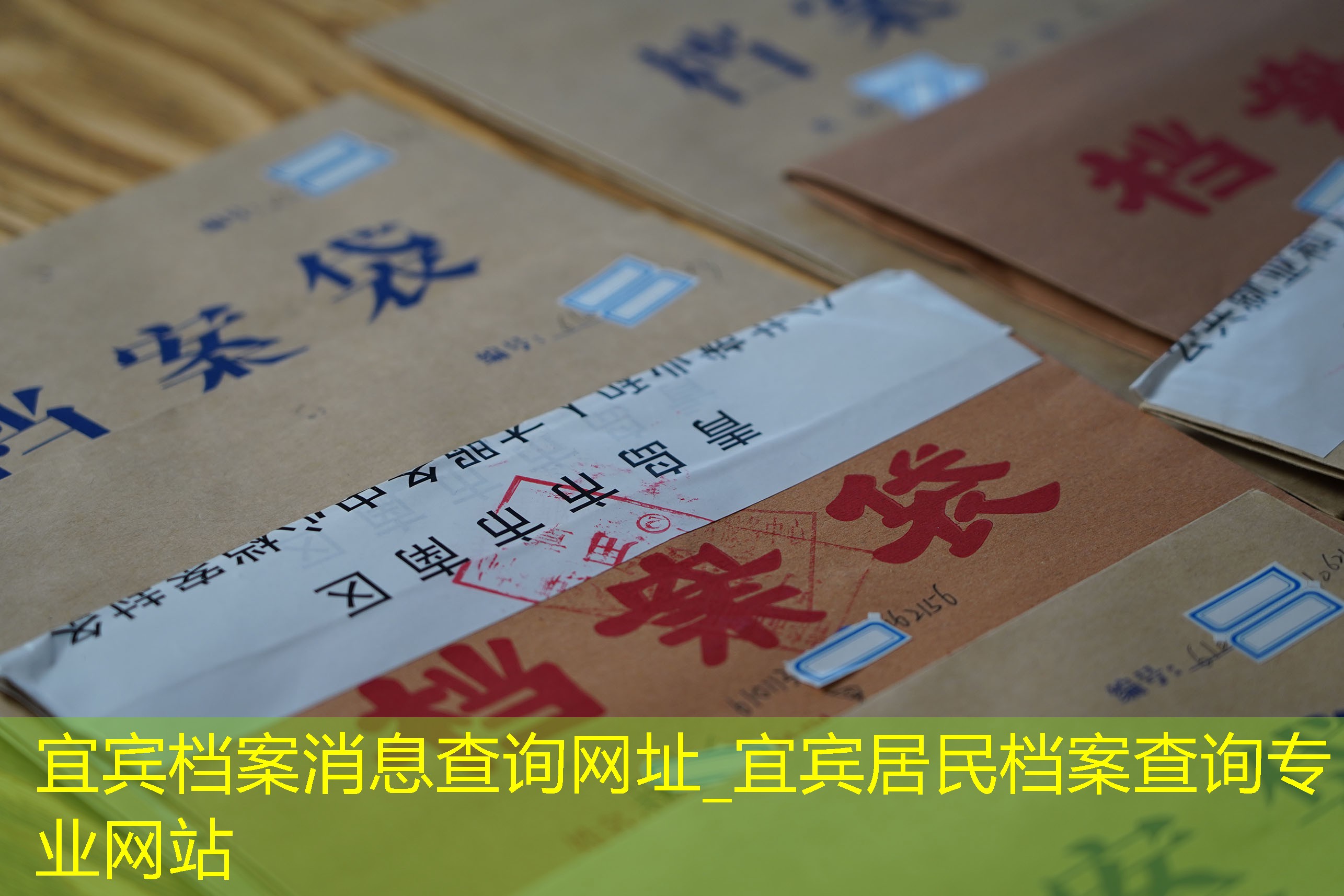 档案查询