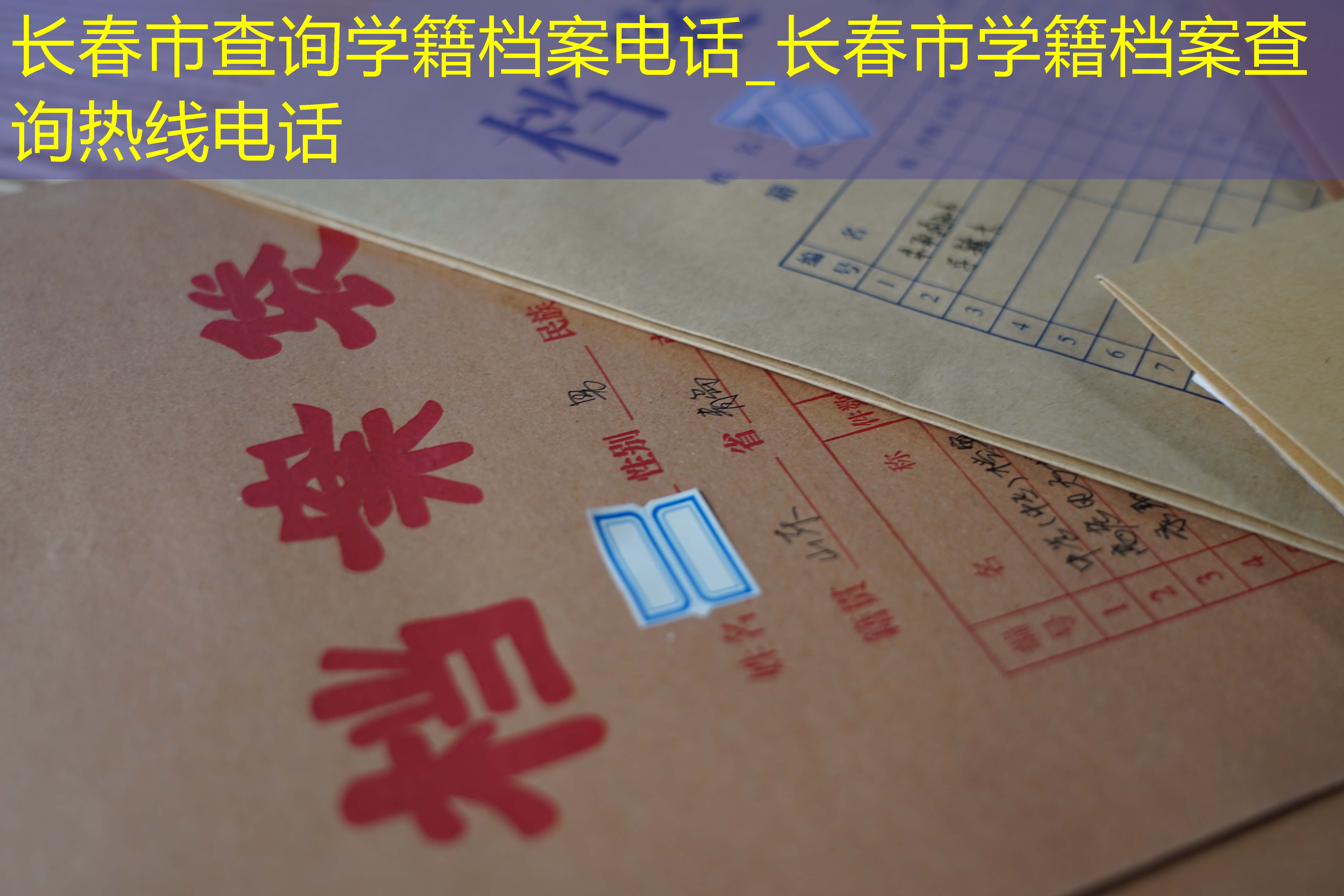 档案查询