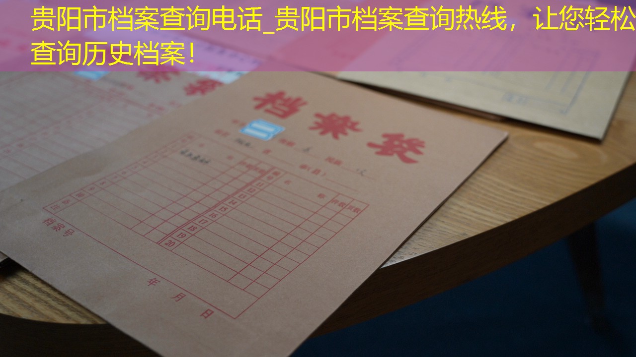 档案查询