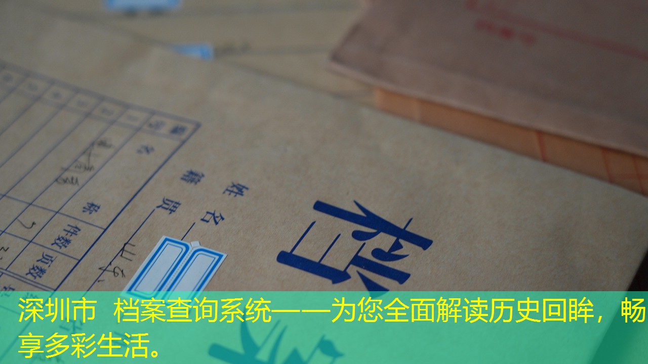 档案查询