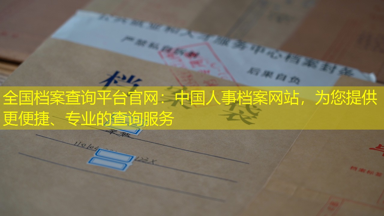 档案查询