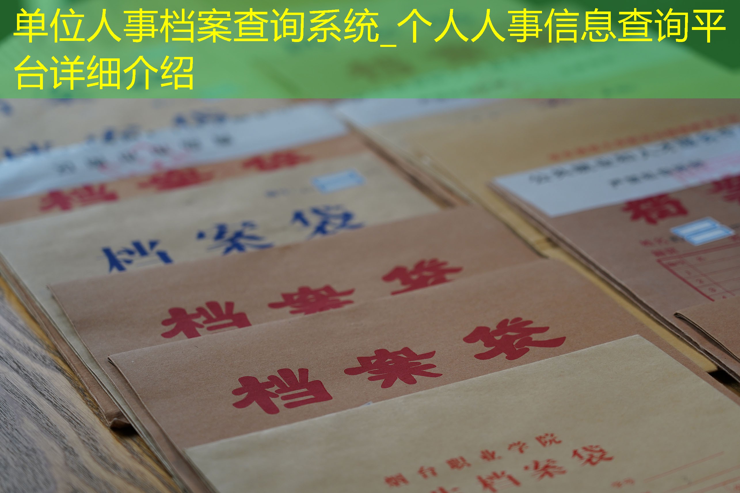 档案查询