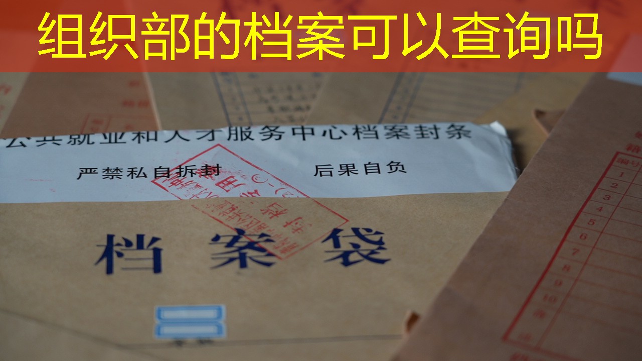 档案查询