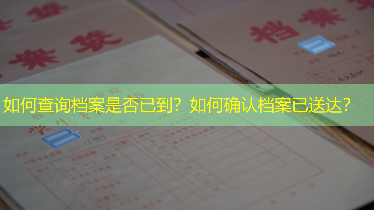 档案查询
