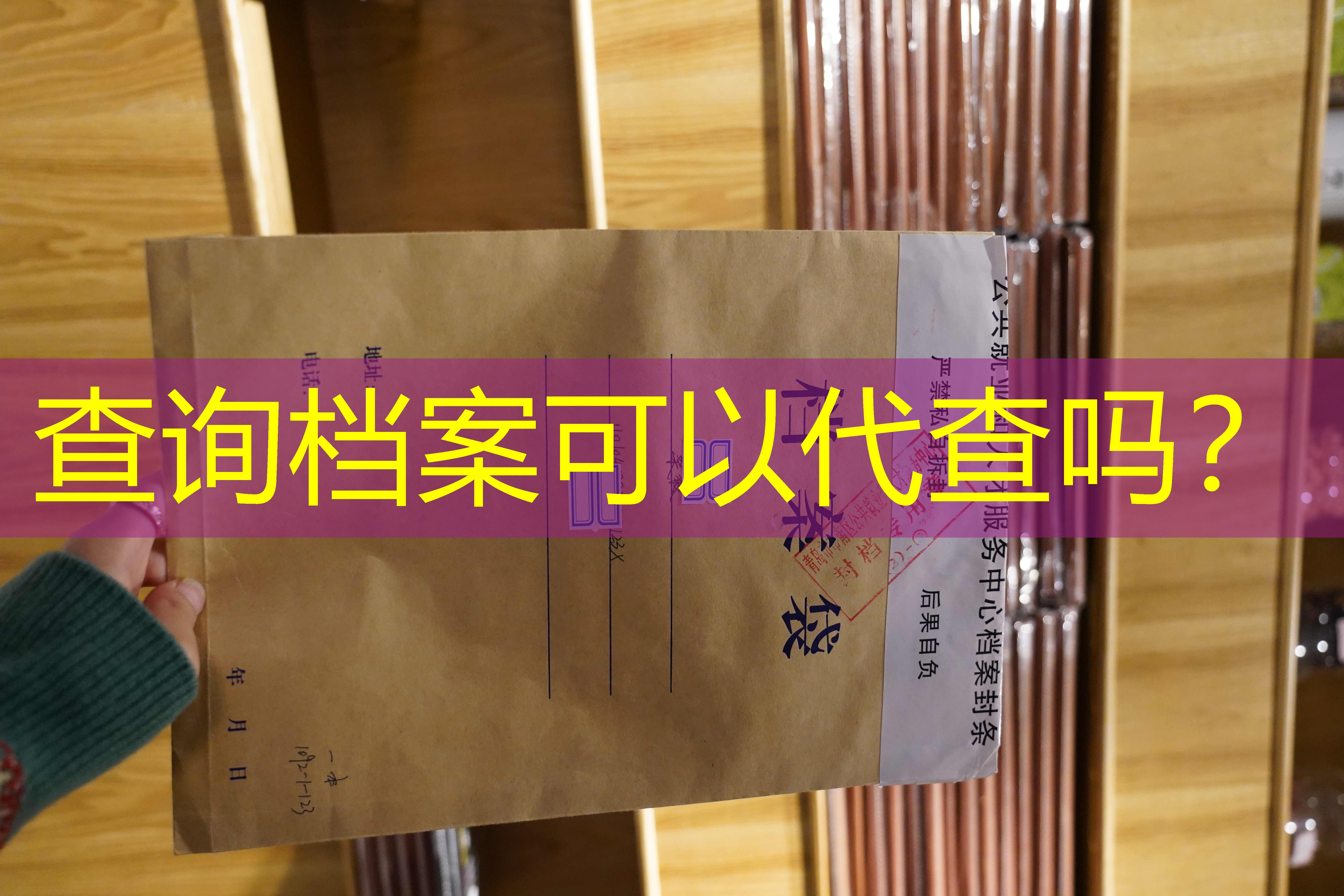 档案查询
