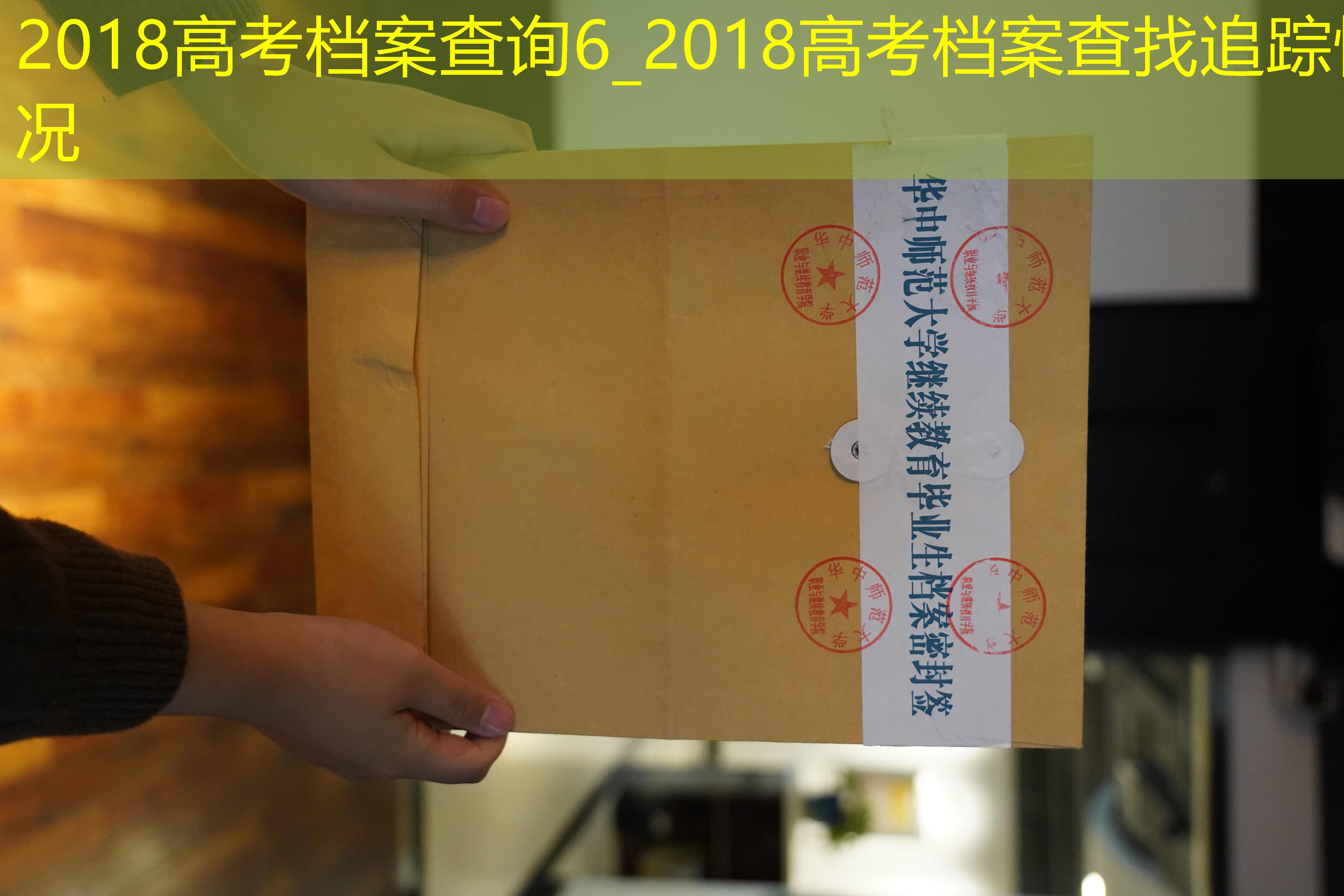 档案查询