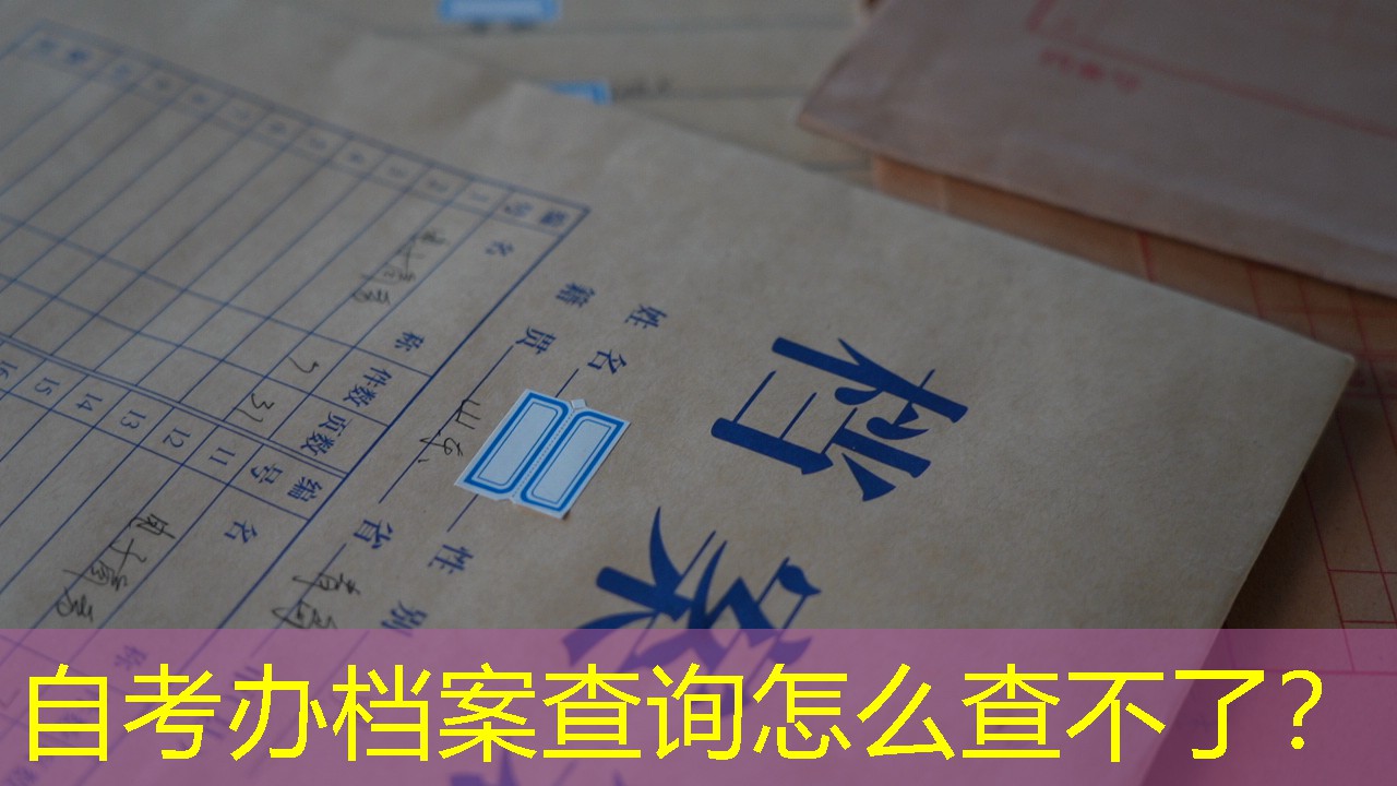 档案查询