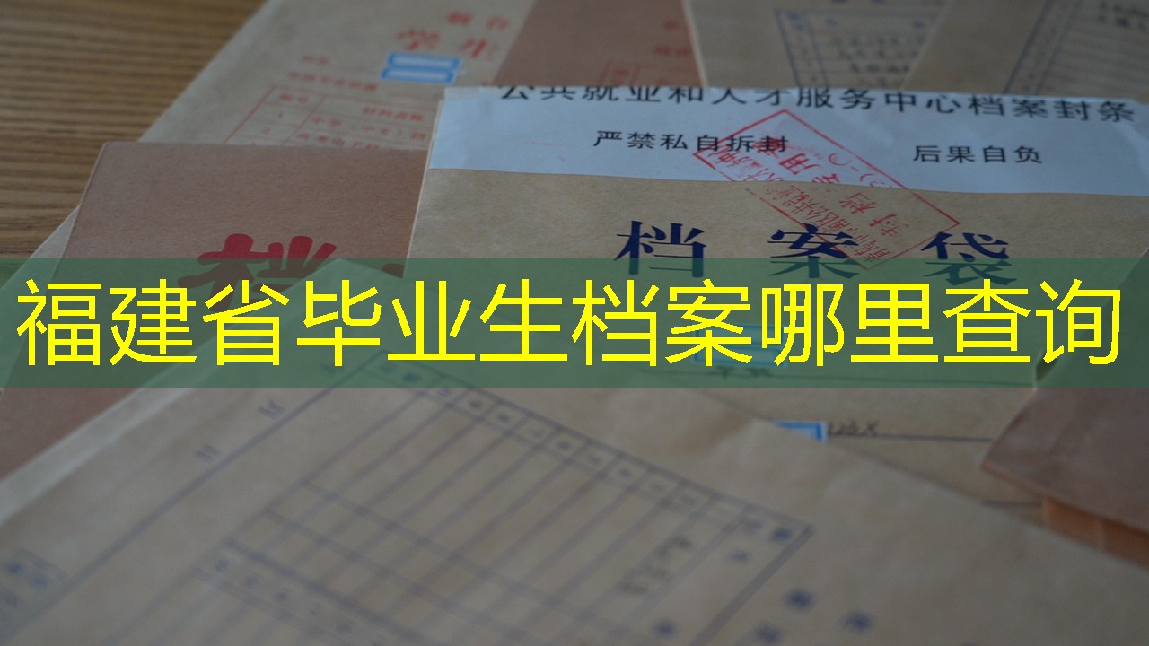 档案查询