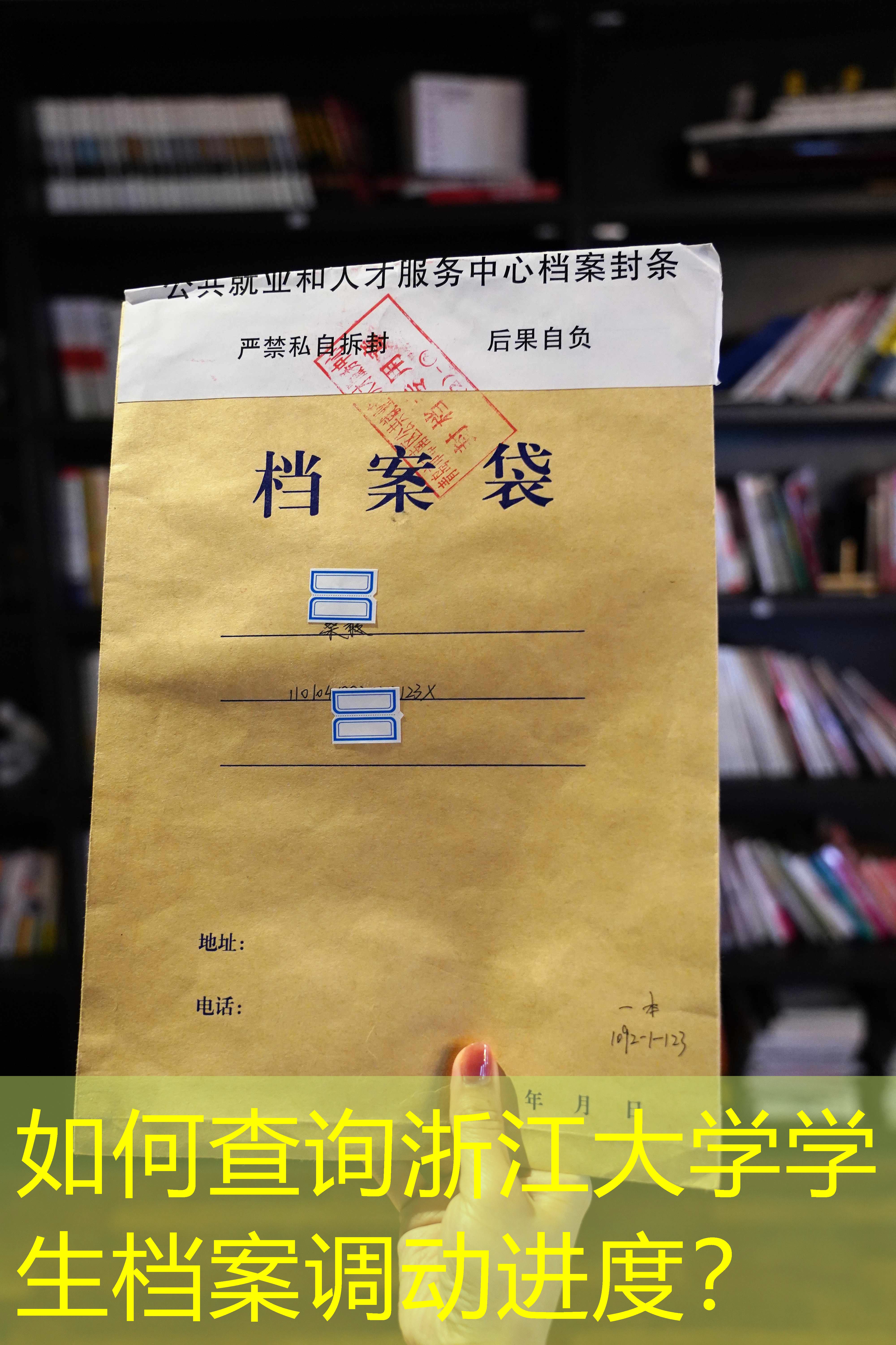 档案查询