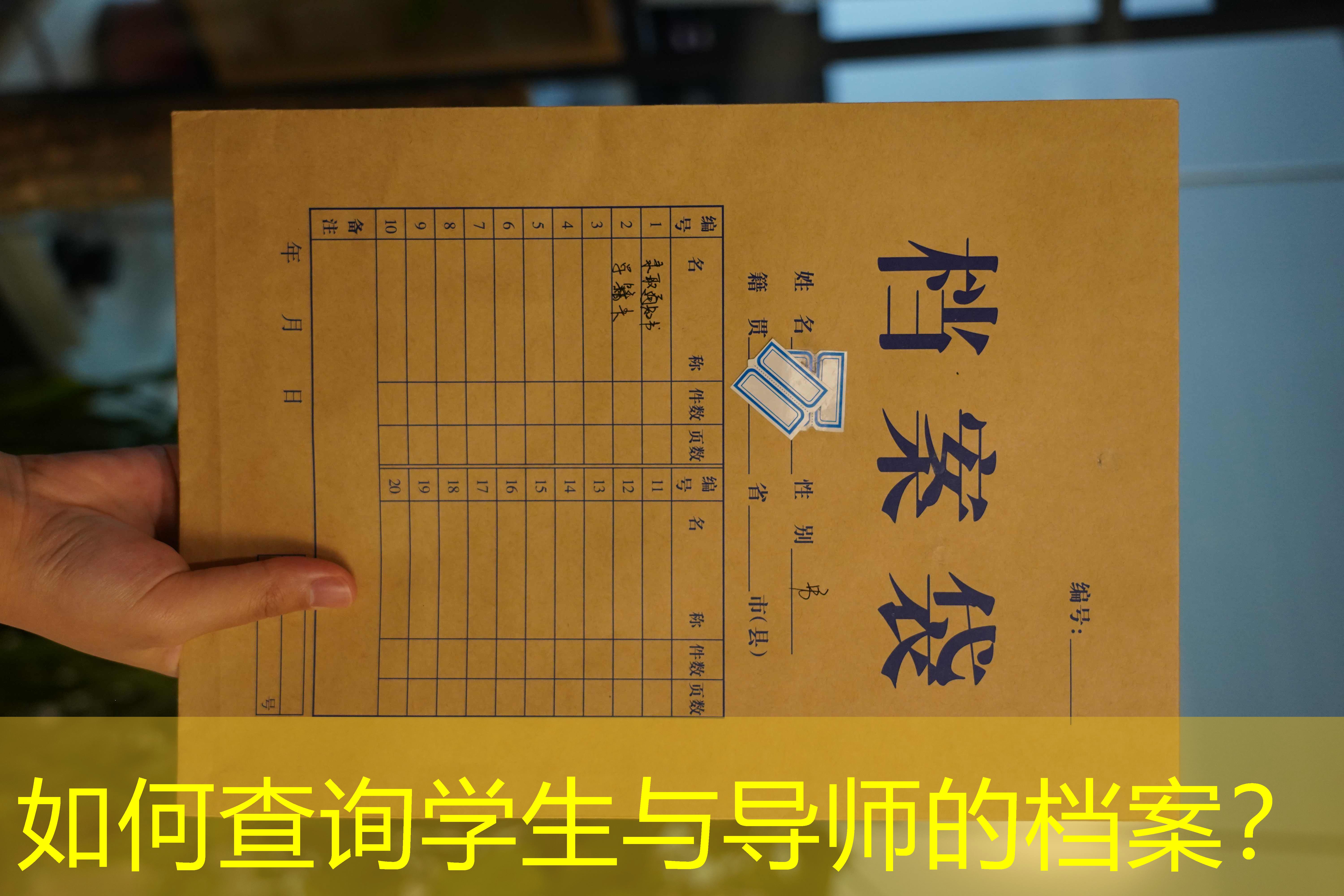 档案查询