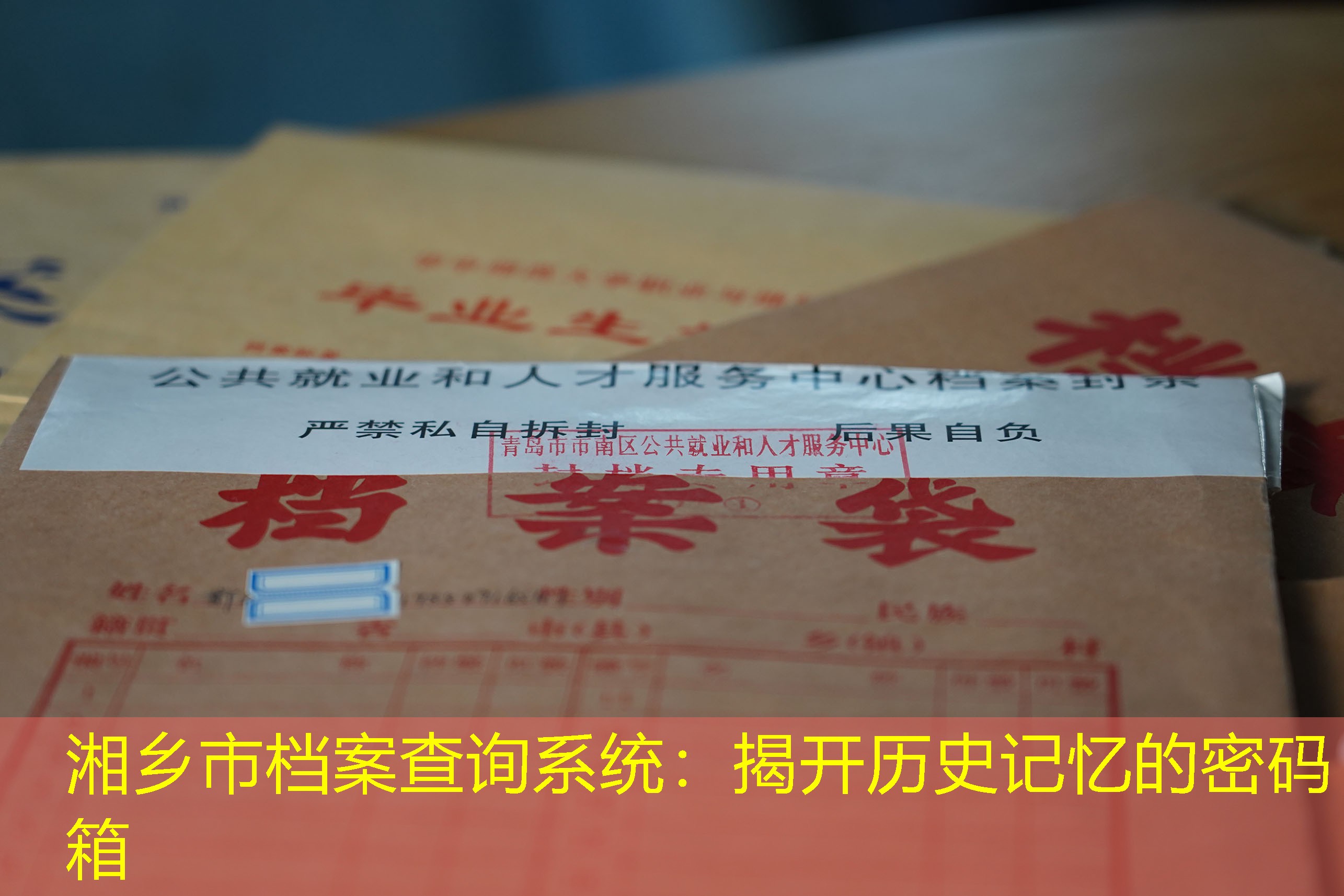 档案查询