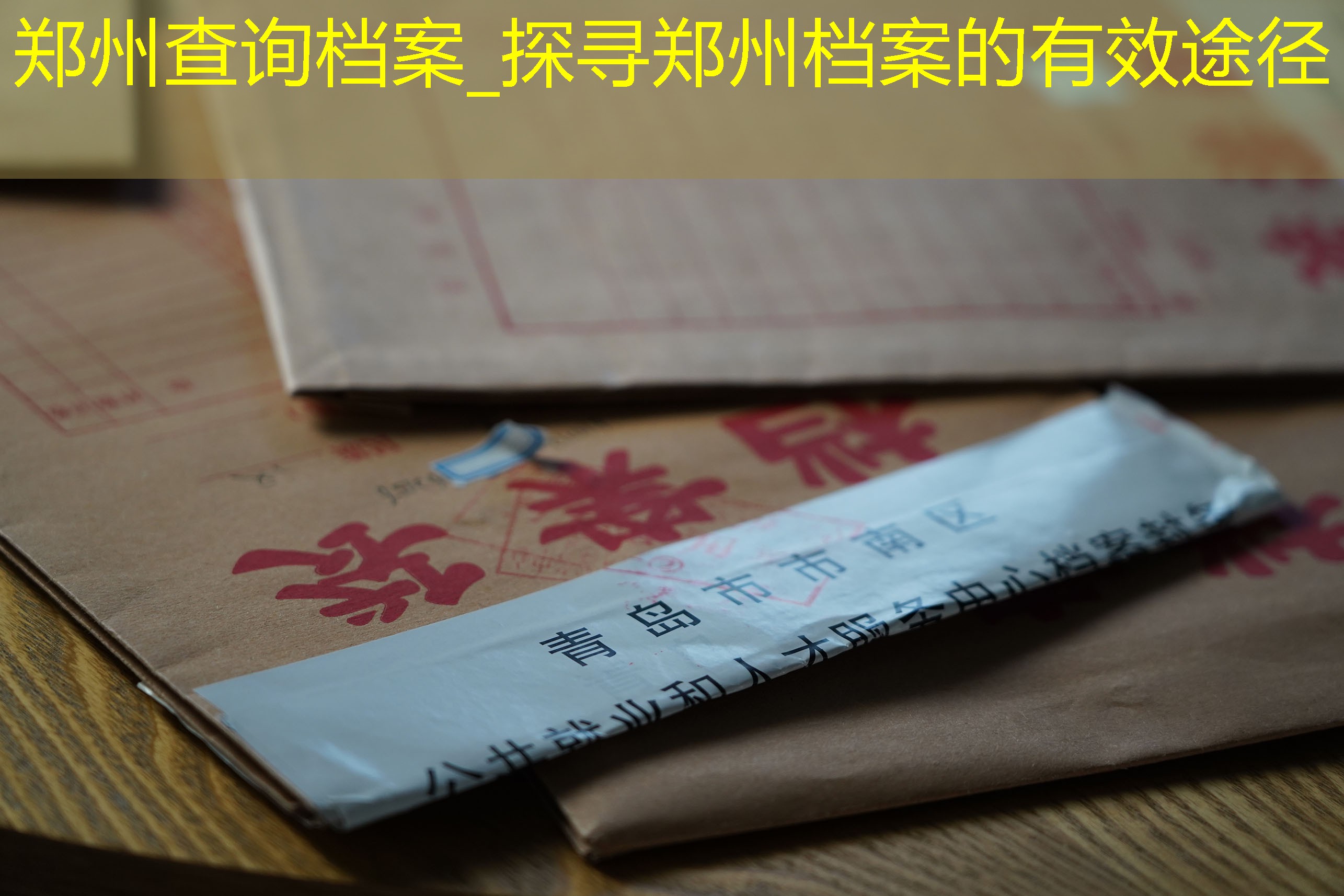 档案查询