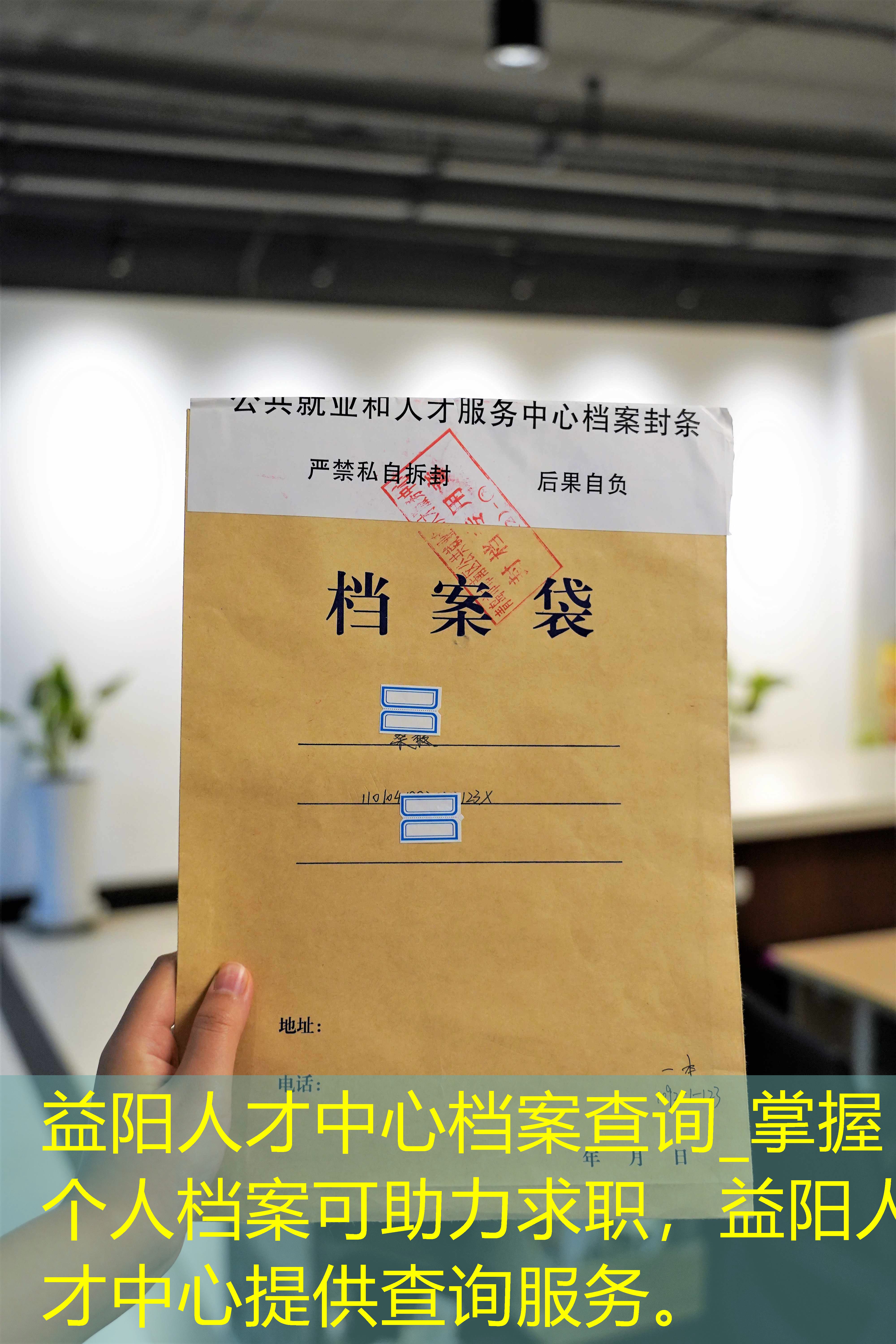 档案查询