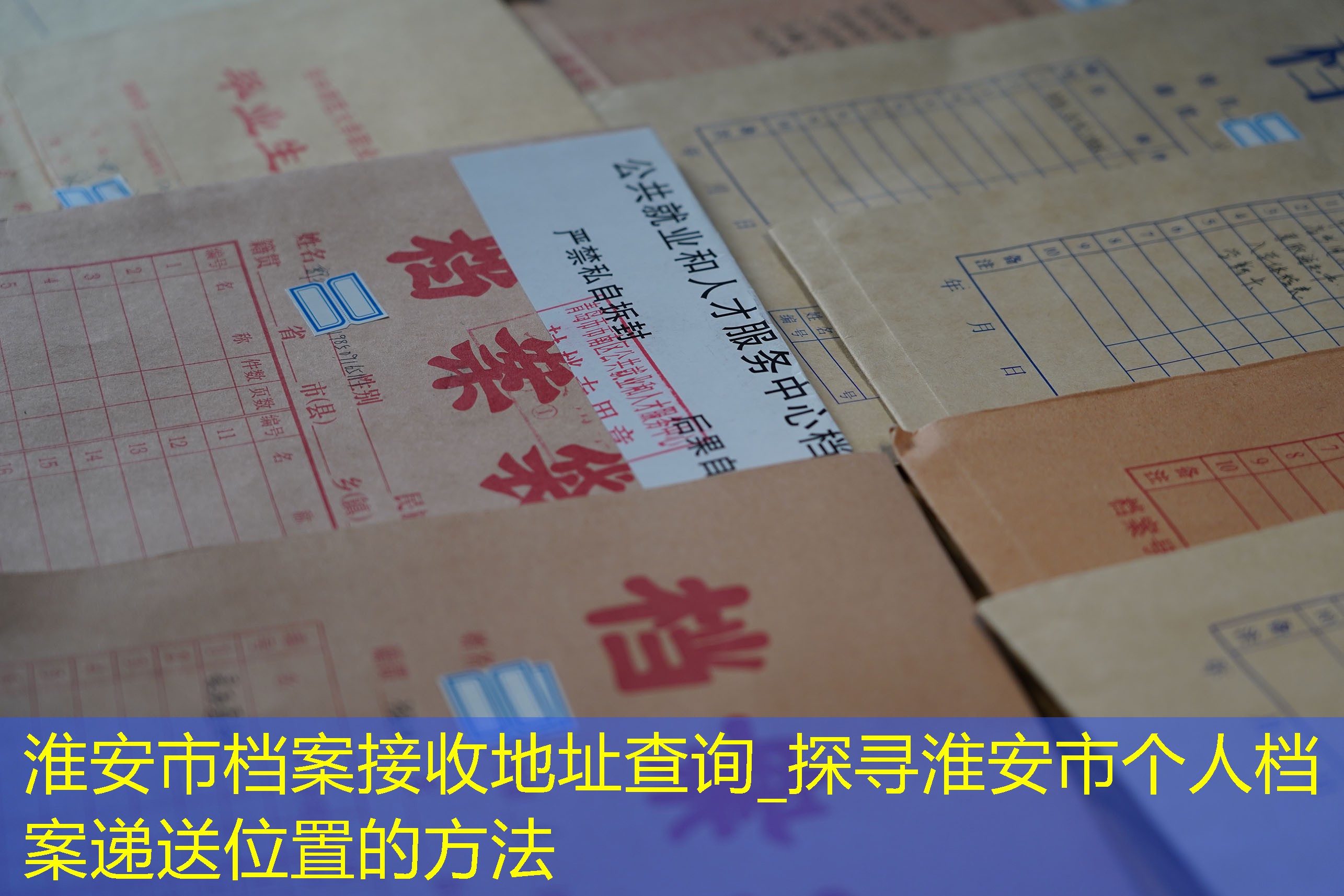 档案查询