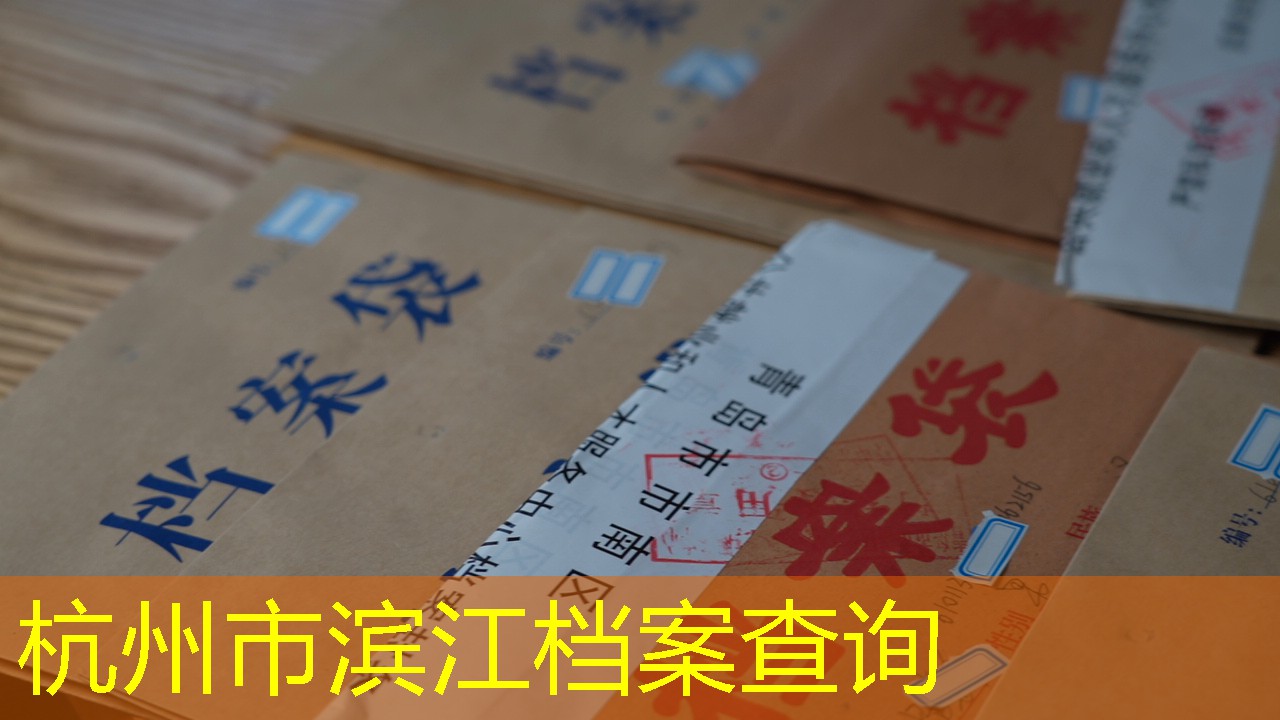 档案查询