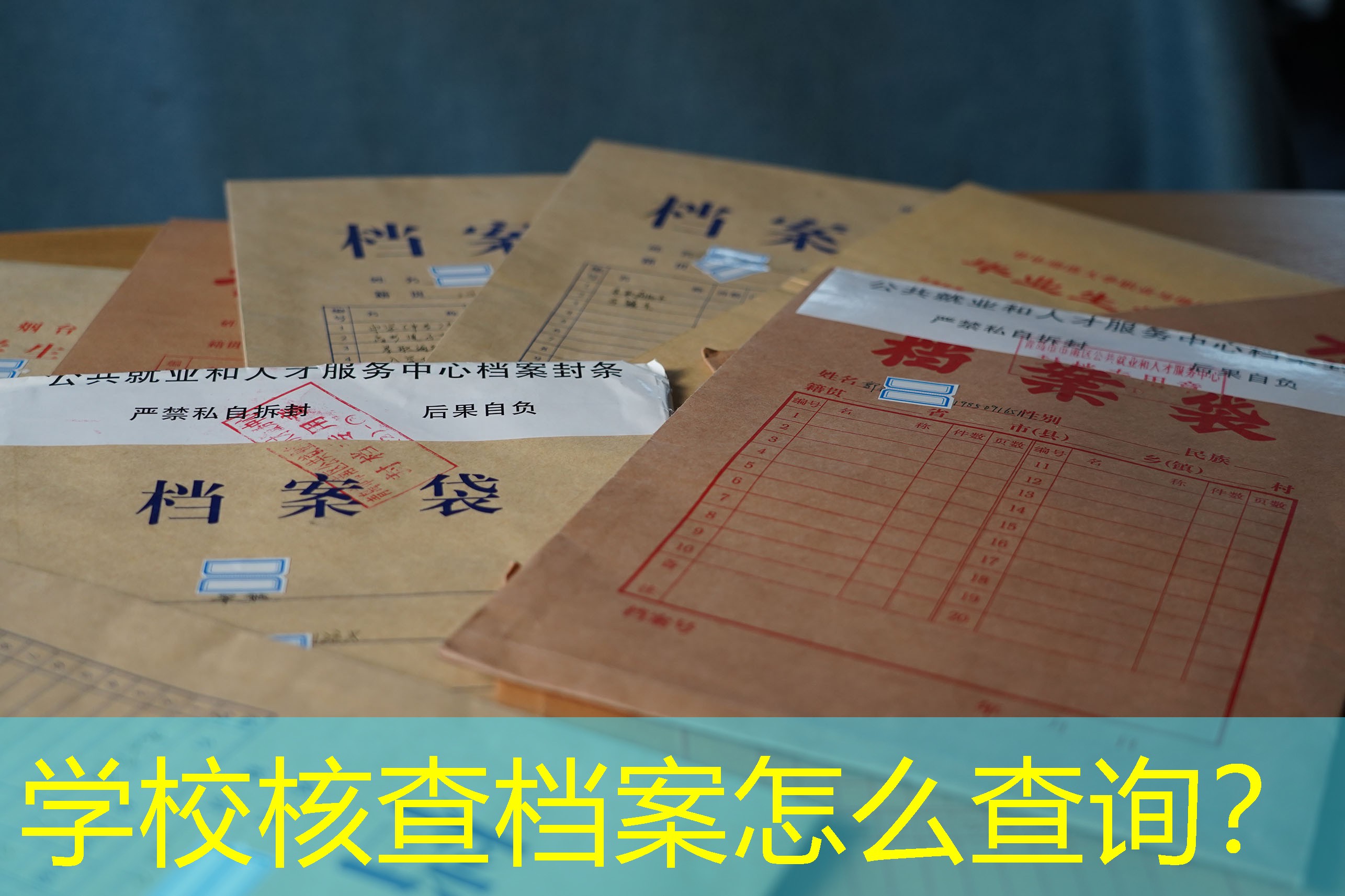 档案查询