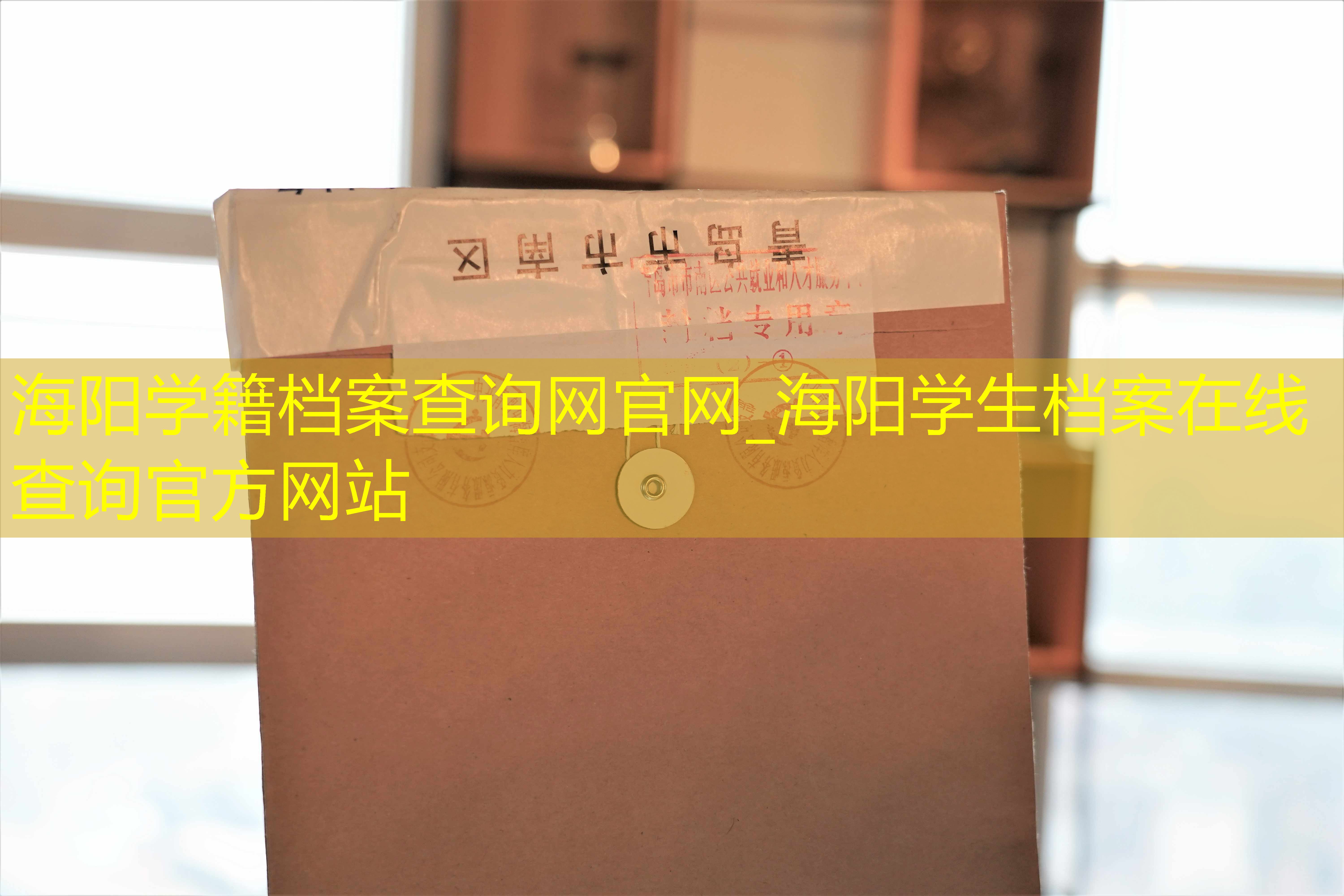 档案查询
