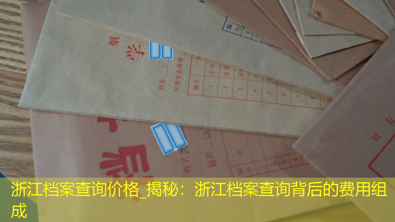 档案查询