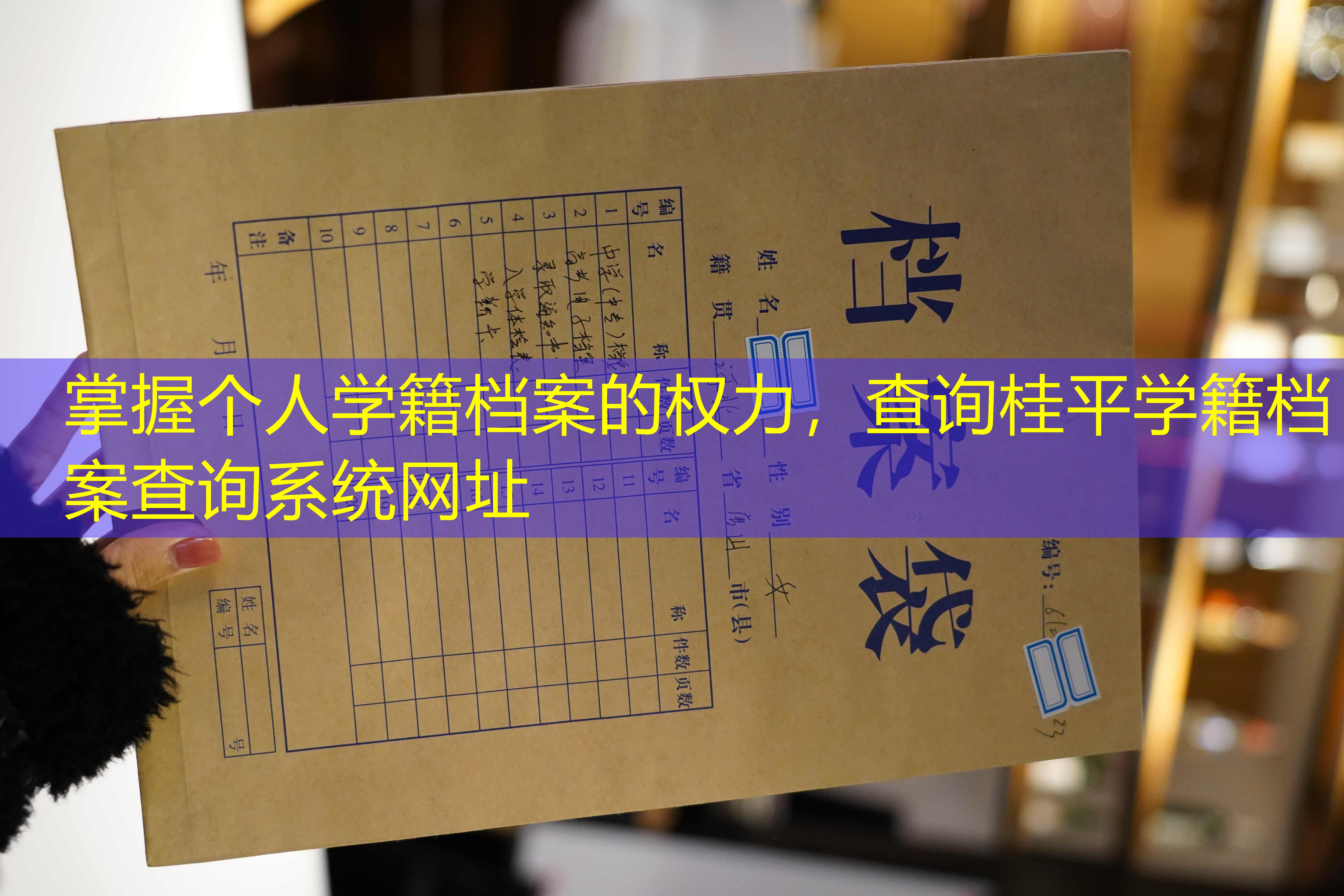 档案查询