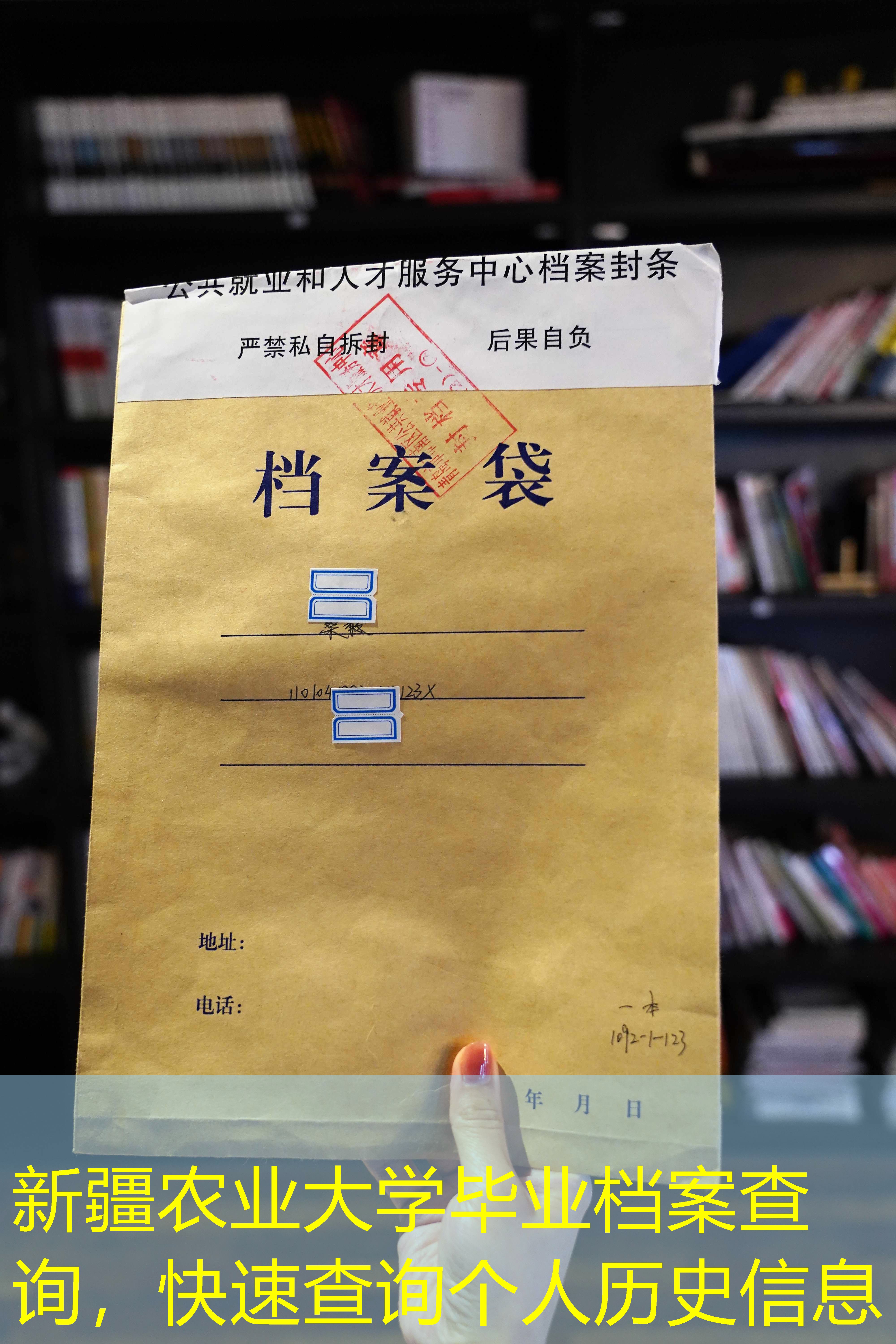 档案查询