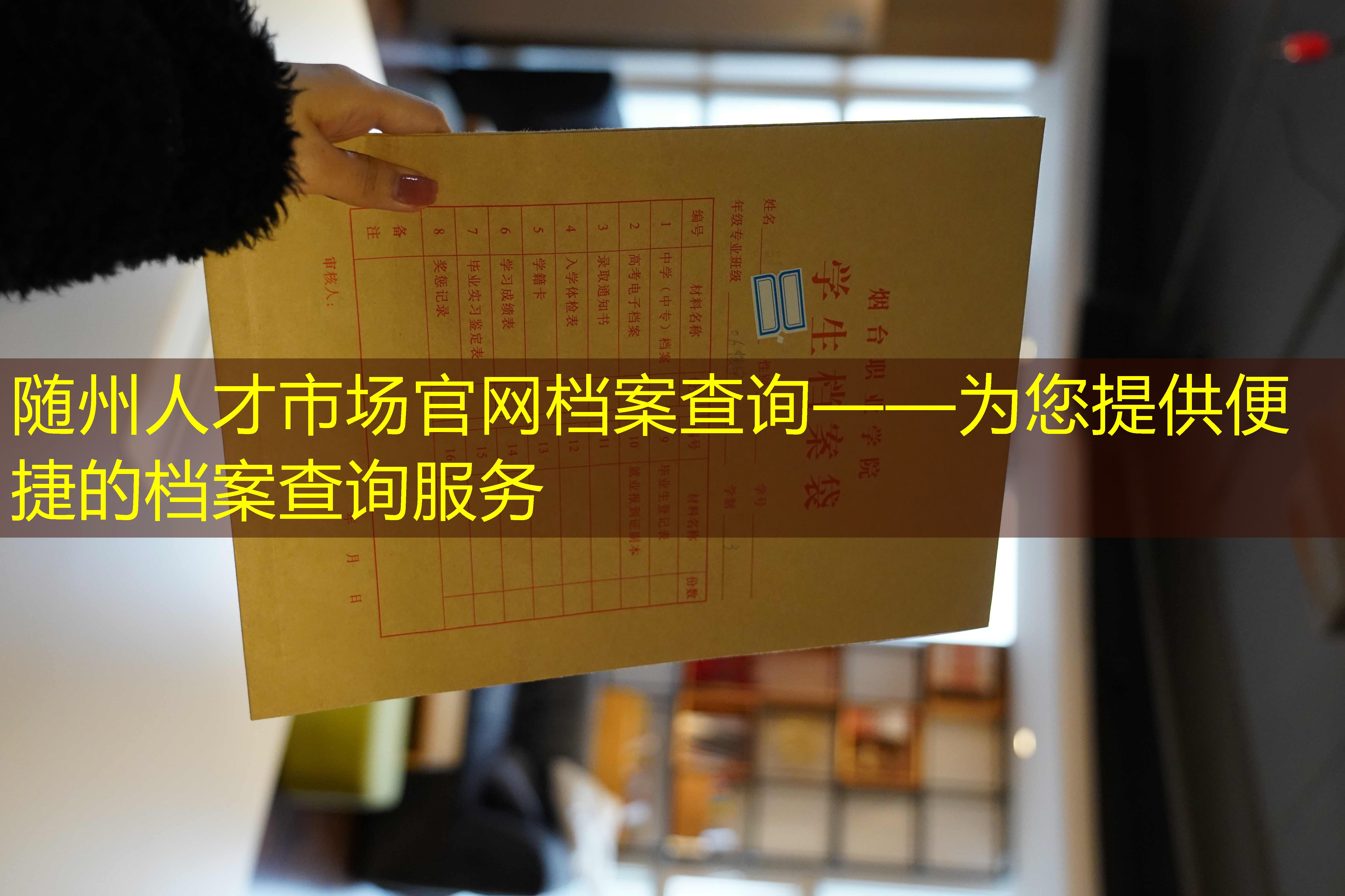 档案查询