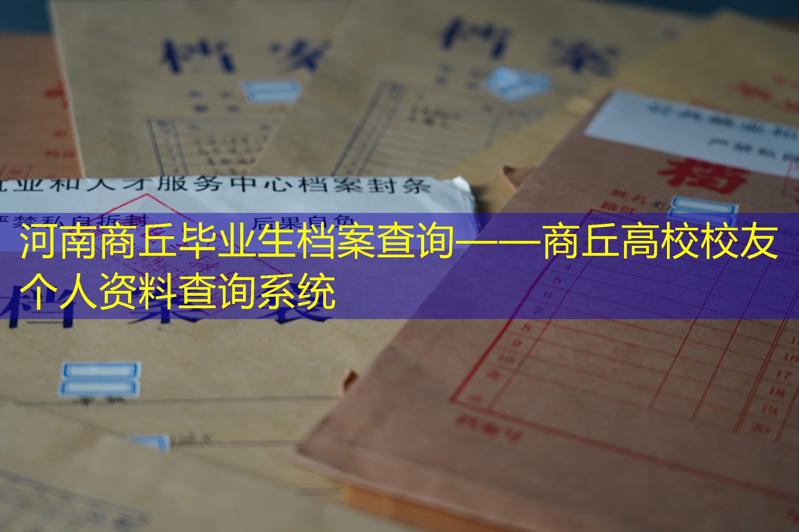 档案查询