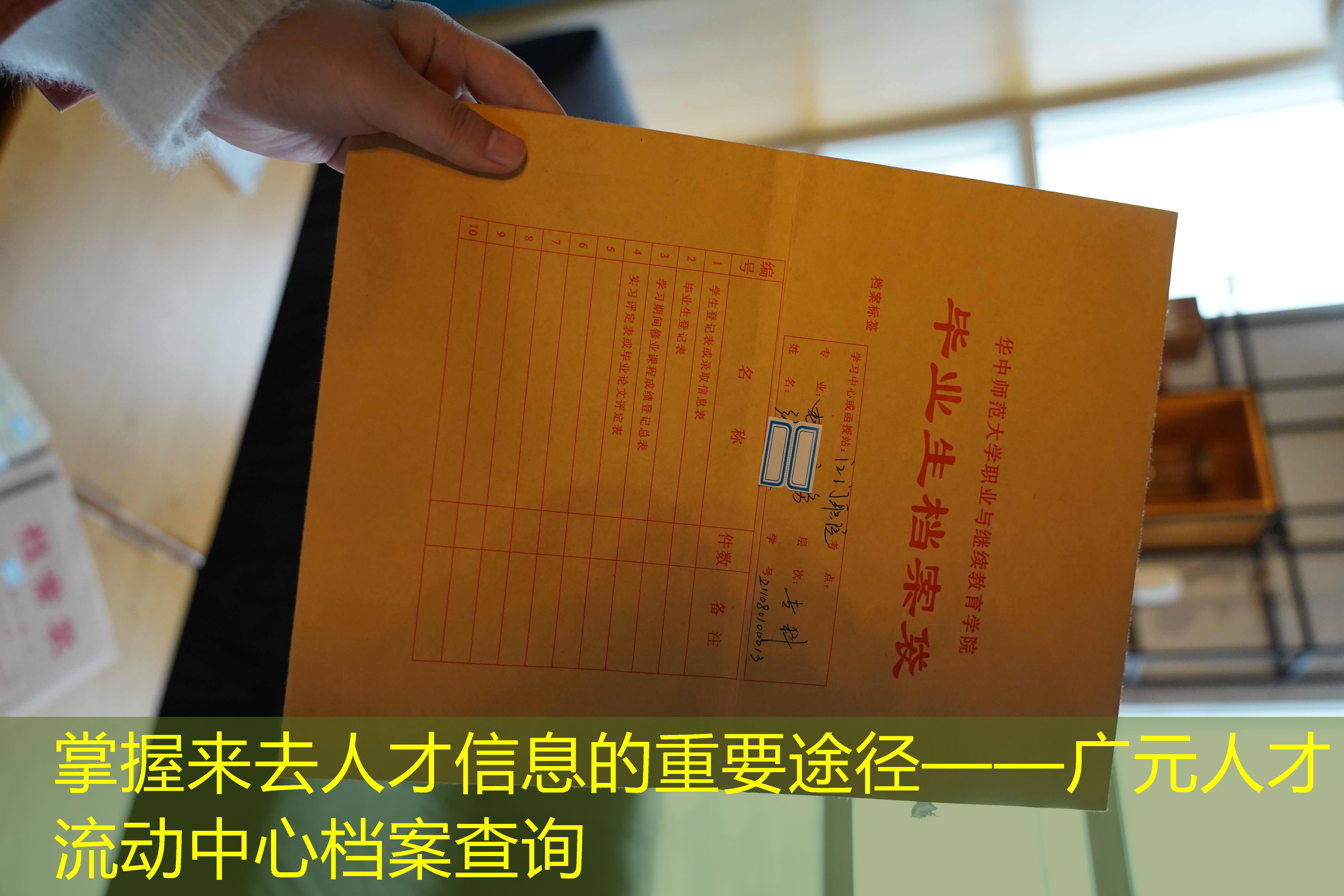 档案查询